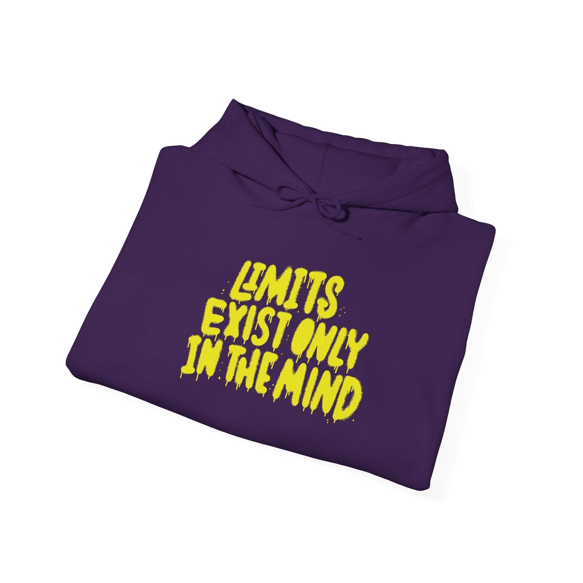 Limits Exist Only In The Mind - Mleem