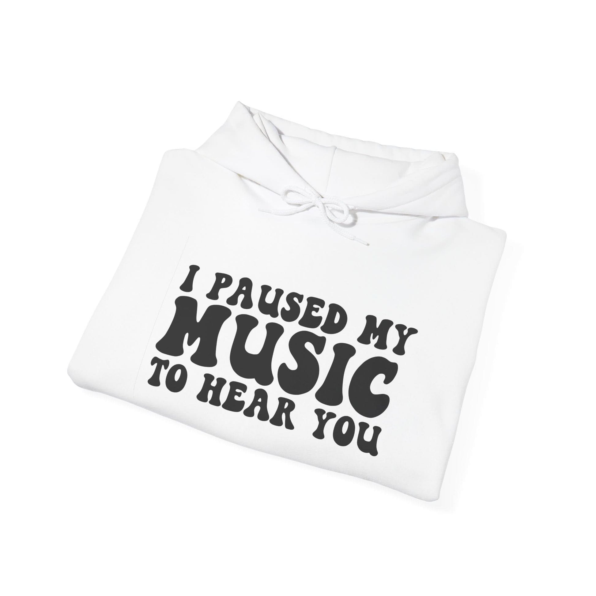 I Paused My Music To Hear You - Mleem