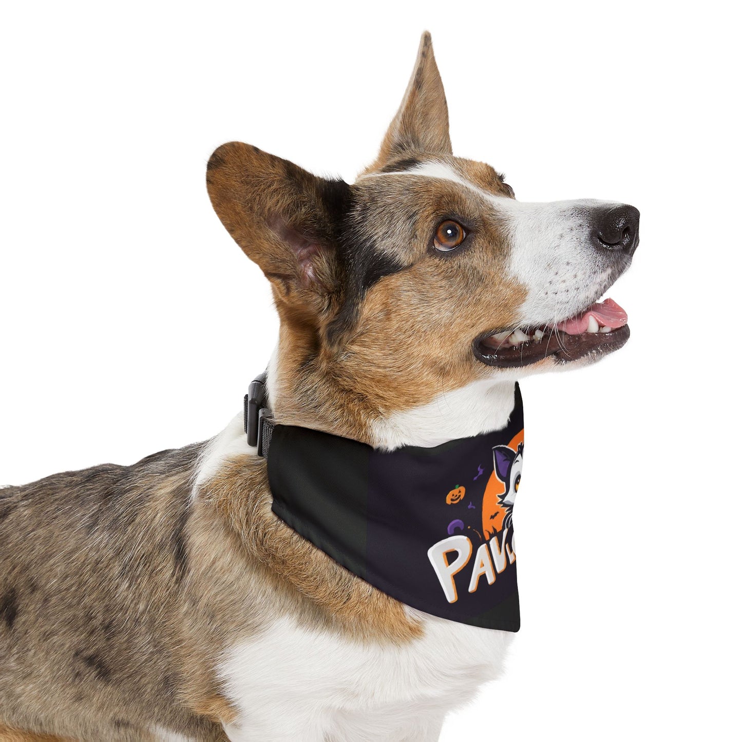 Pet Bandana Collar