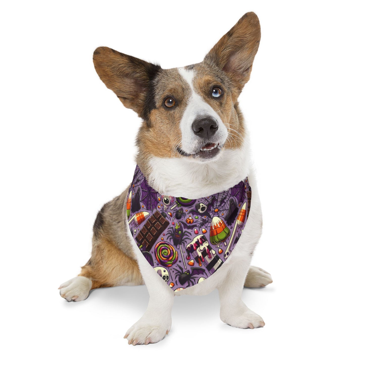 Halloween Pet Bandana Collar, Spooky Dog Accessory, Pet Costume, Fall Pet Fashion, Trick or Treat Gear