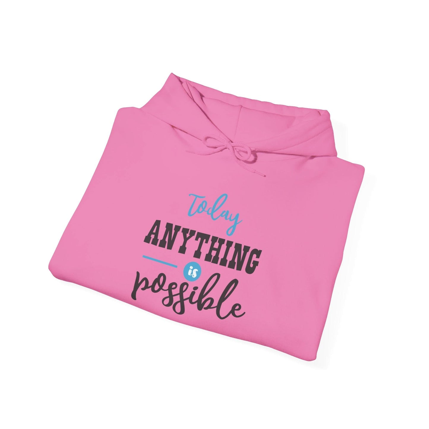 Today Anything is Possible - Mleem