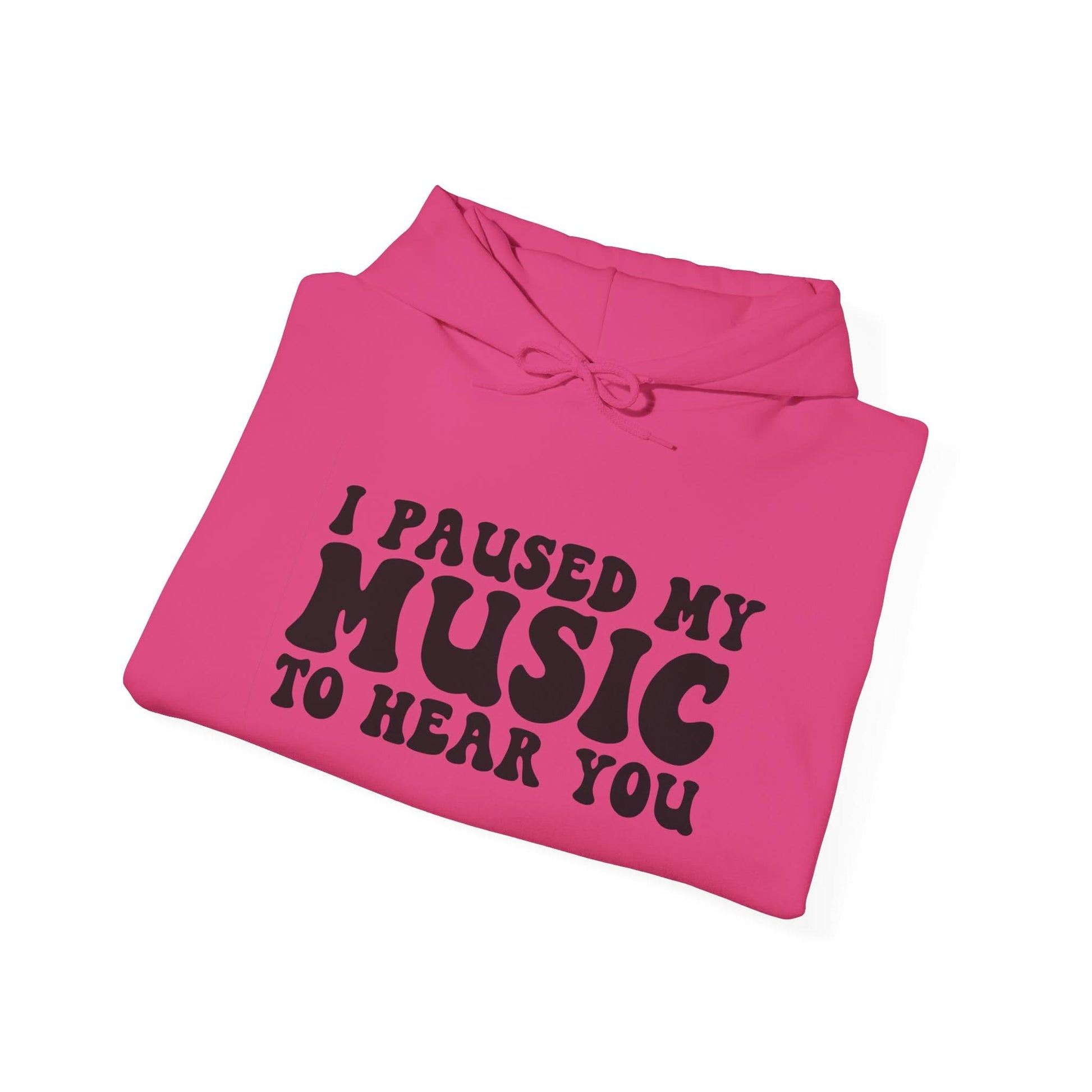 I Paused My Music To Hear You - Mleem