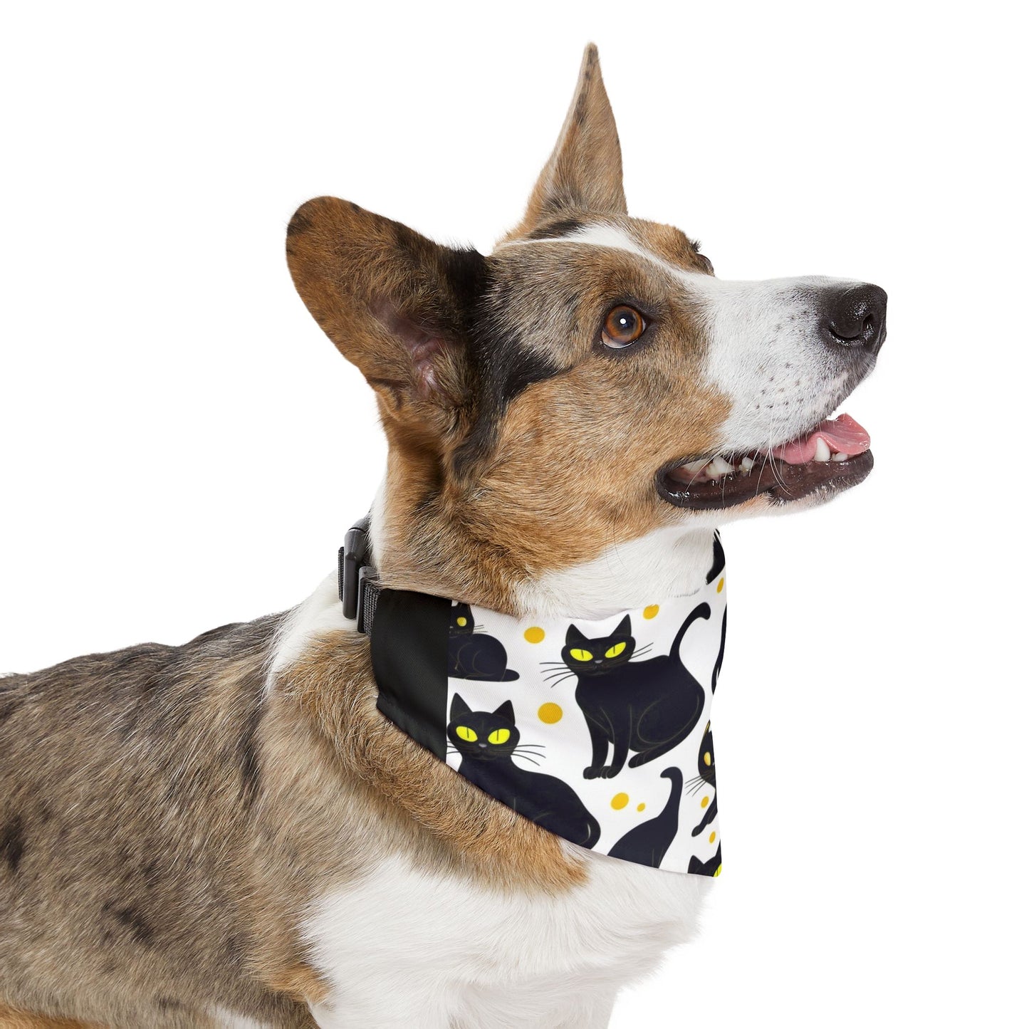Pet Bandana Collar