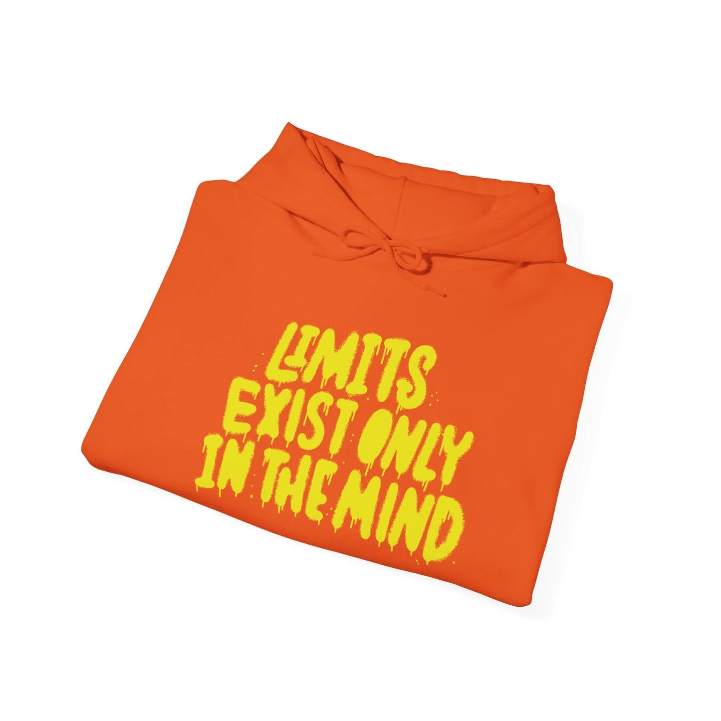 Limits Exist Only In The Mind - Mleem