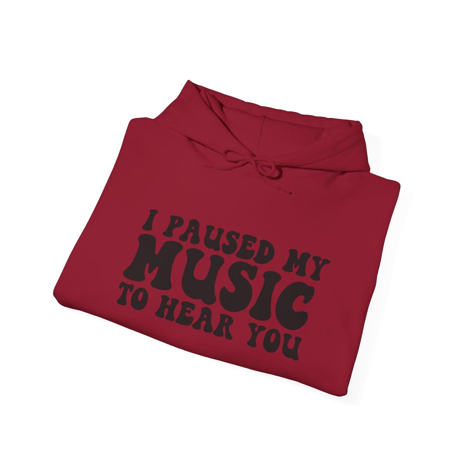 I Paused My Music To Hear You - Mleem