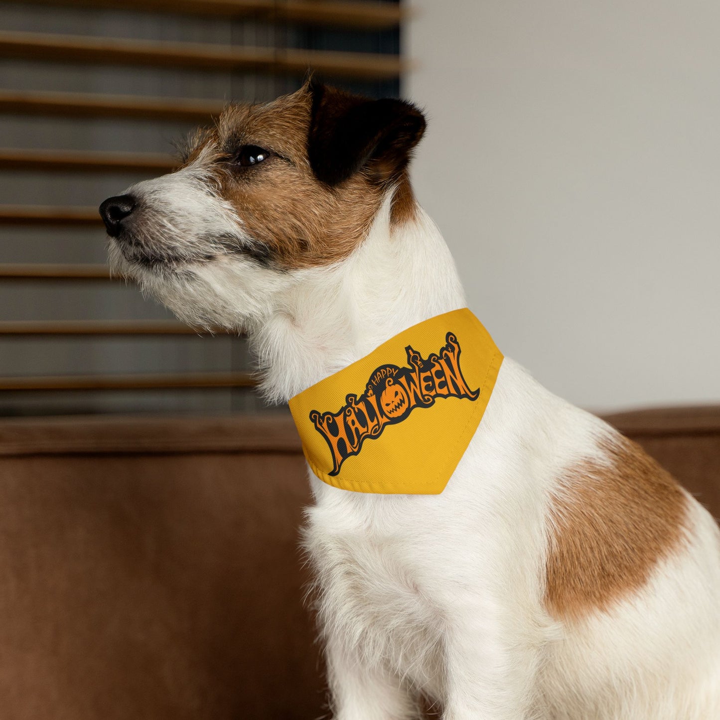 Halloween Pet Bandana Collar, Festive Dog Accessory,  Pet Costume, Trick or Treat Gear, Pumpkin Design
