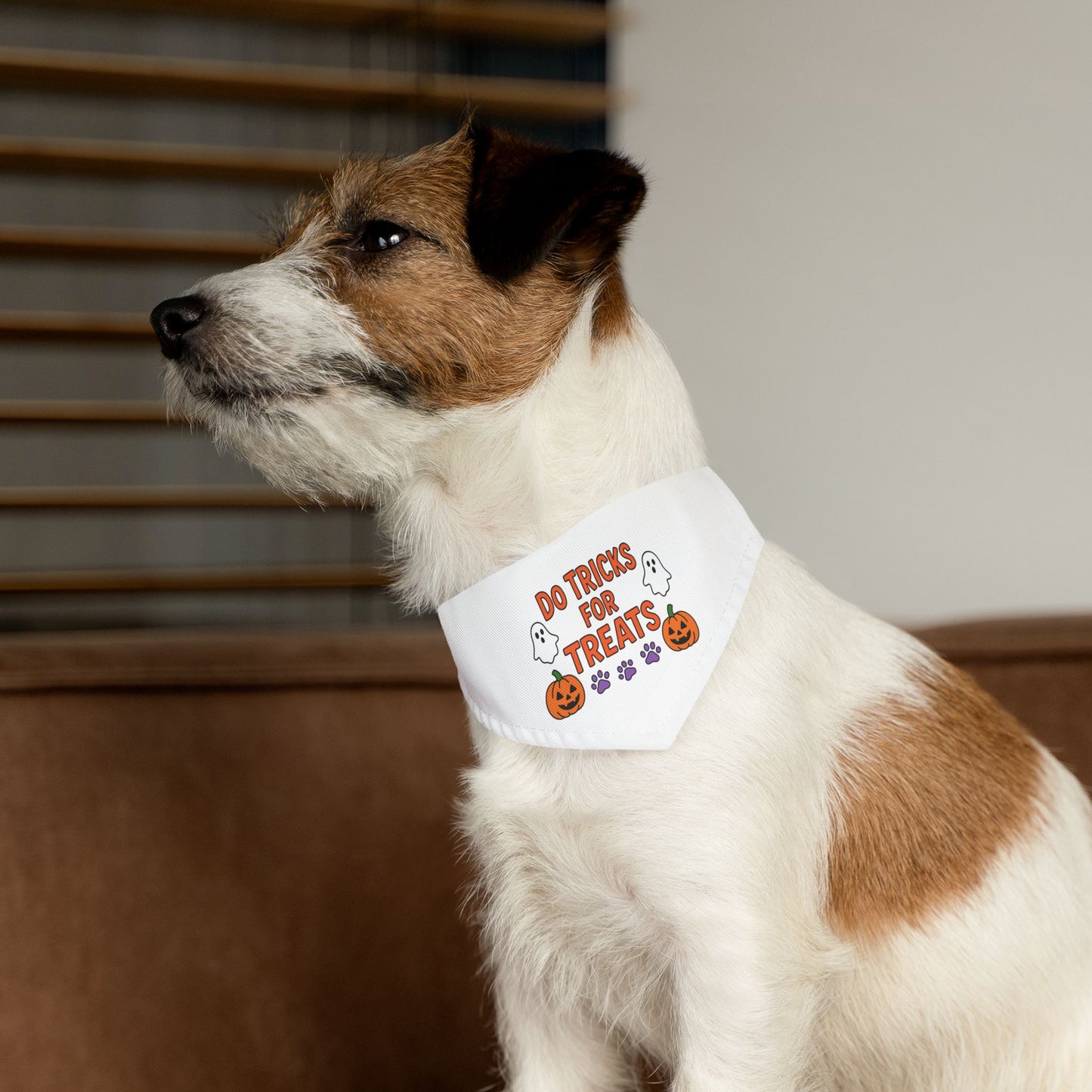 Halloween Pet Bandana, Dog Costume Accessory, Trick or Treat Bandana, Pet Halloween Apparel, Spooky Dog Outfit