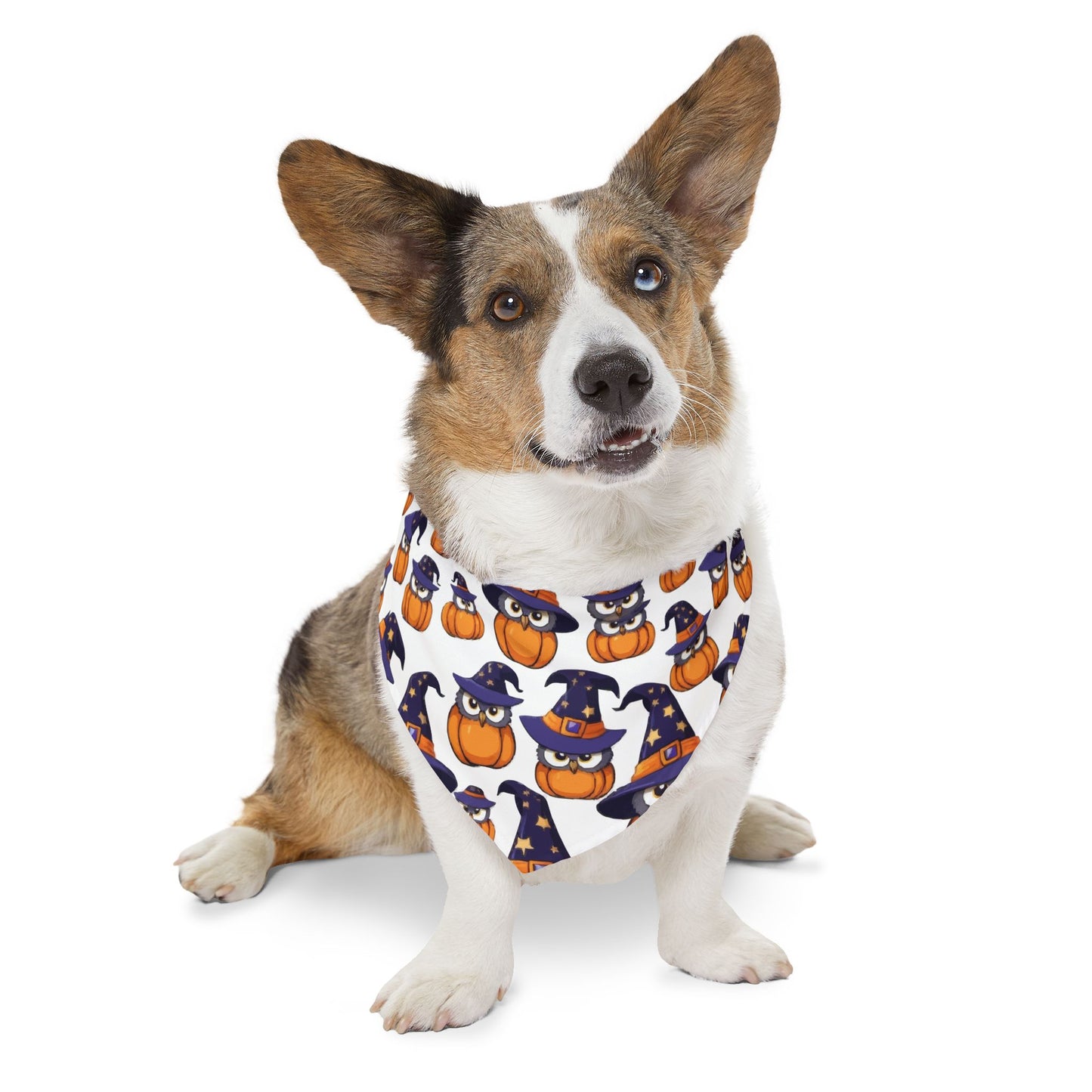 Adorable Halloween Pet Bandana Collar | Cute Pumpkin & Owl Print, Dog Accessory, Pet Costume, Holiday Gear, Gifts for Pet Lovers