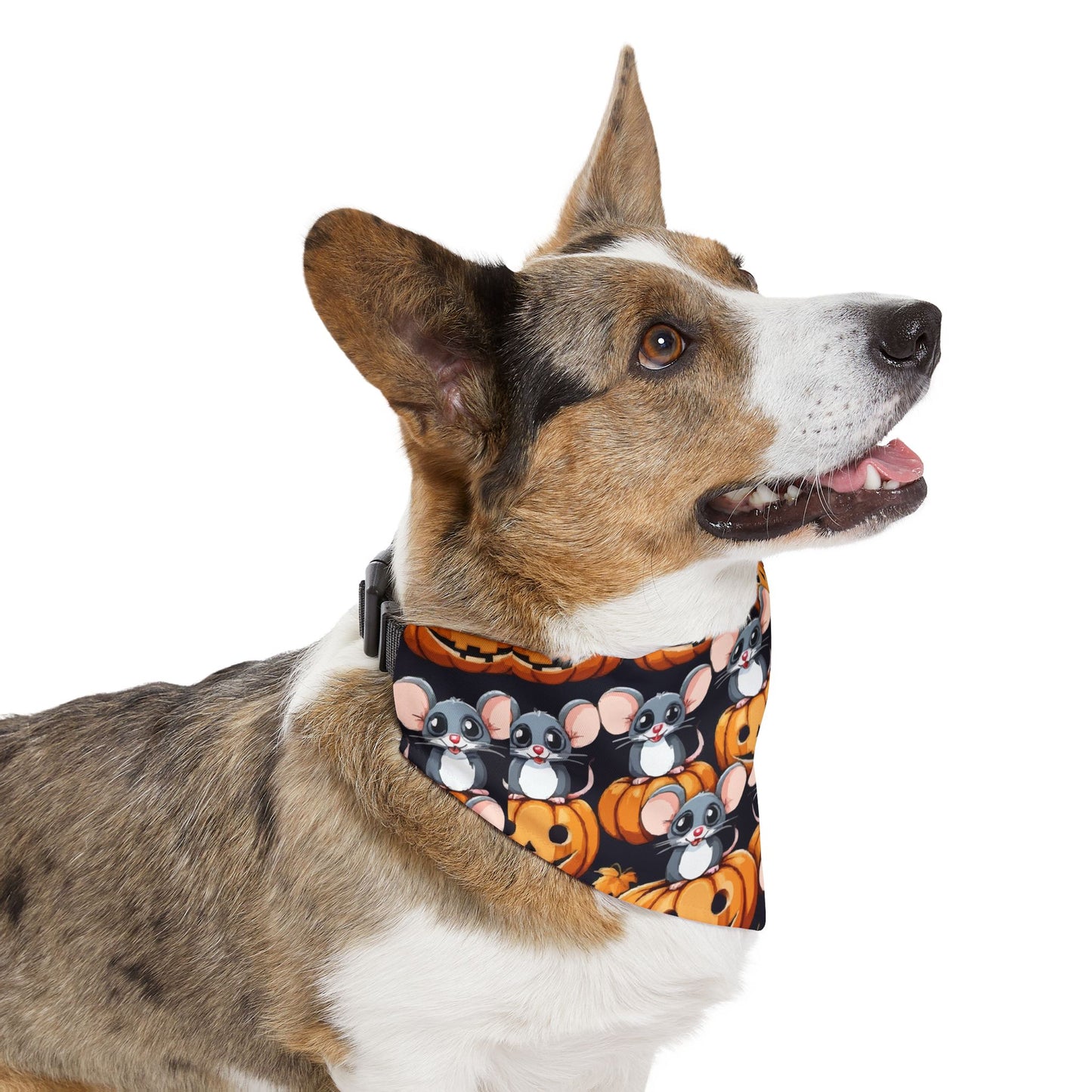 Pet Bandana Collar