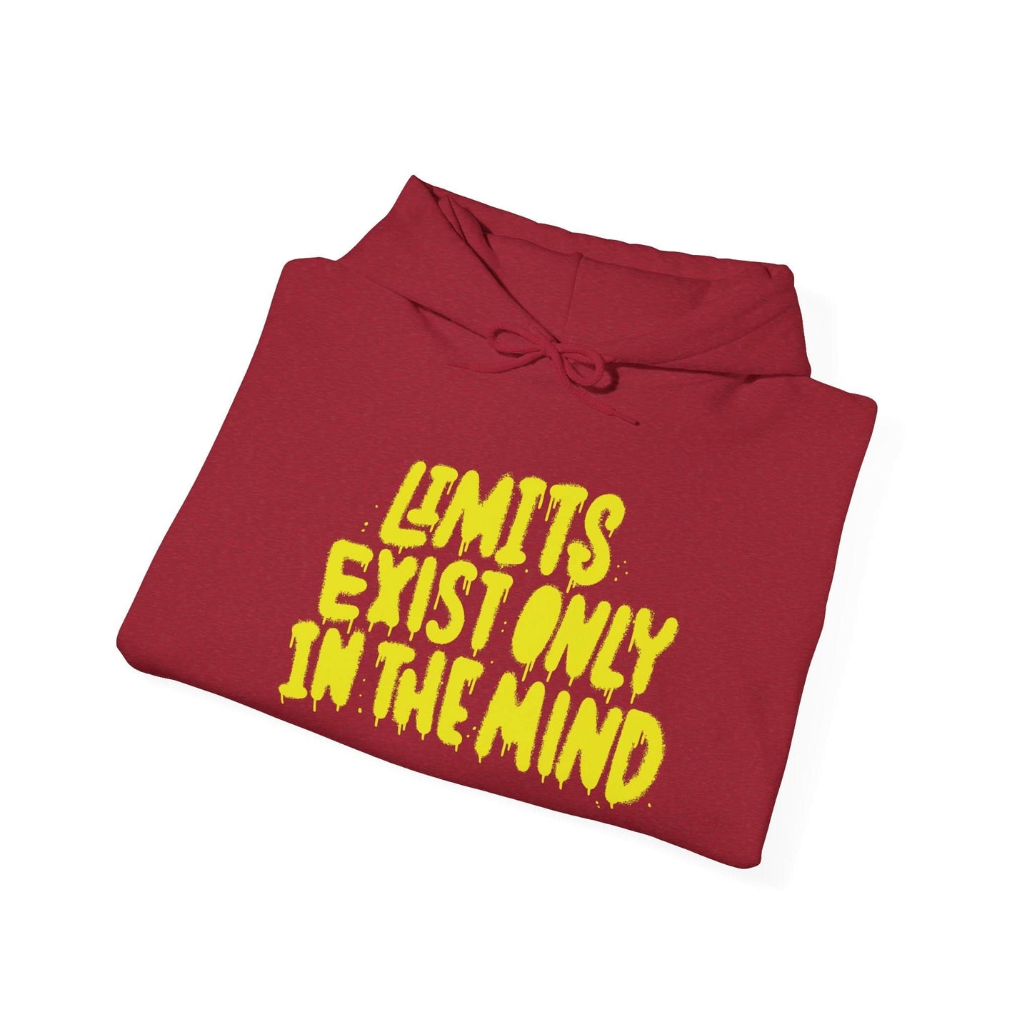 Limits Exist Only In The Mind - Mleem