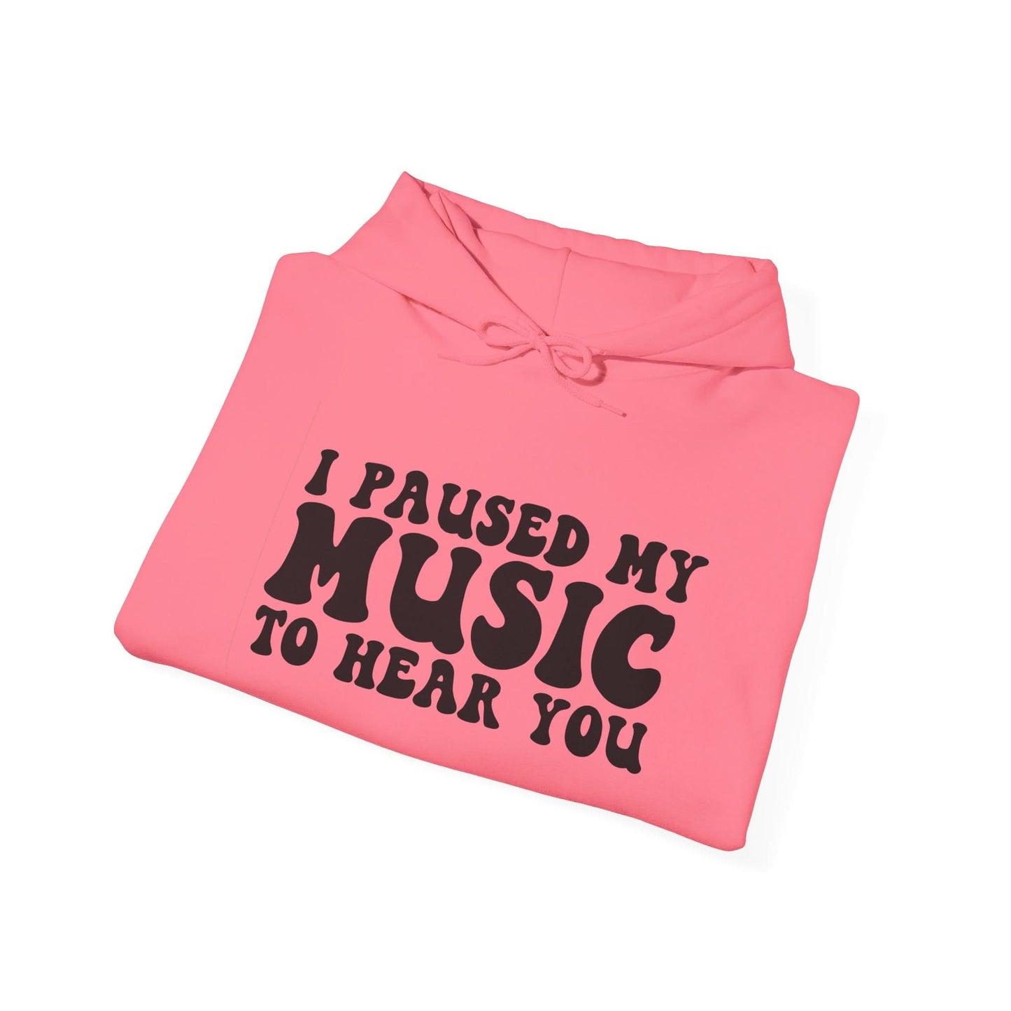 I Paused My Music To Hear You - Mleem