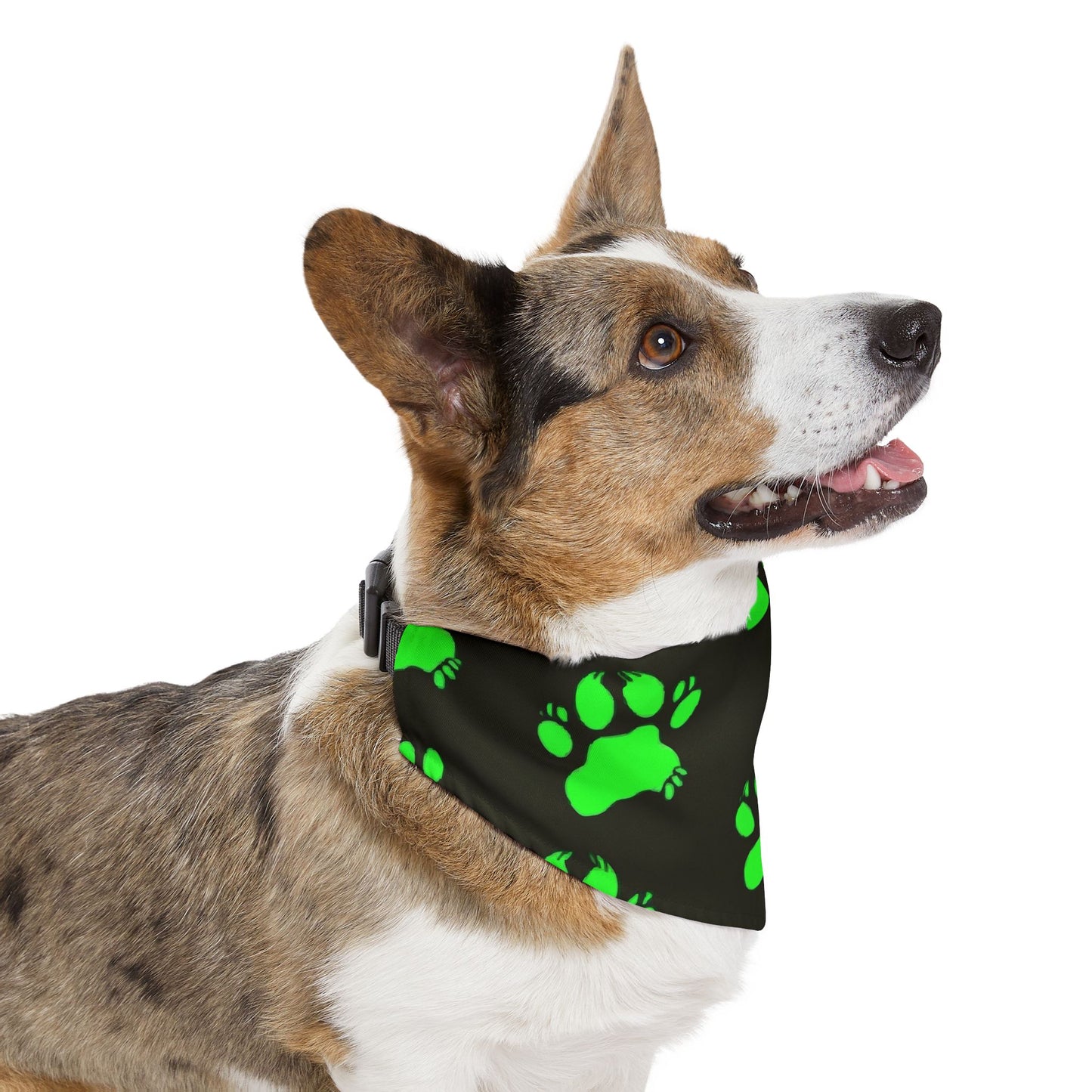 Glow-in-the-Dark Pet Bandana Collar | Funky Dog Accessory for Pet Lovers, Halloween Costume, Night Walks, Gift for Dog Owners