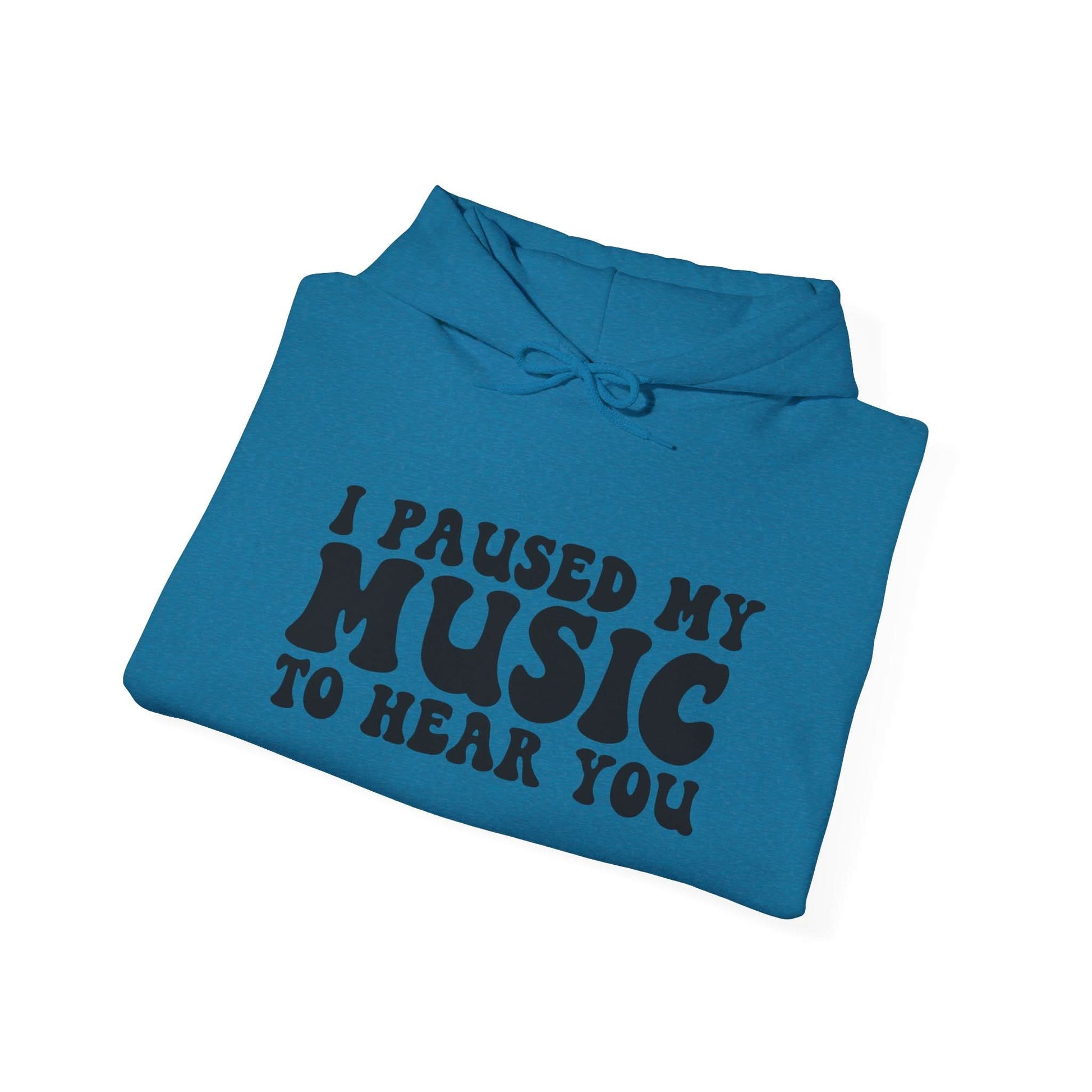 I Paused My Music To Hear You - Mleem