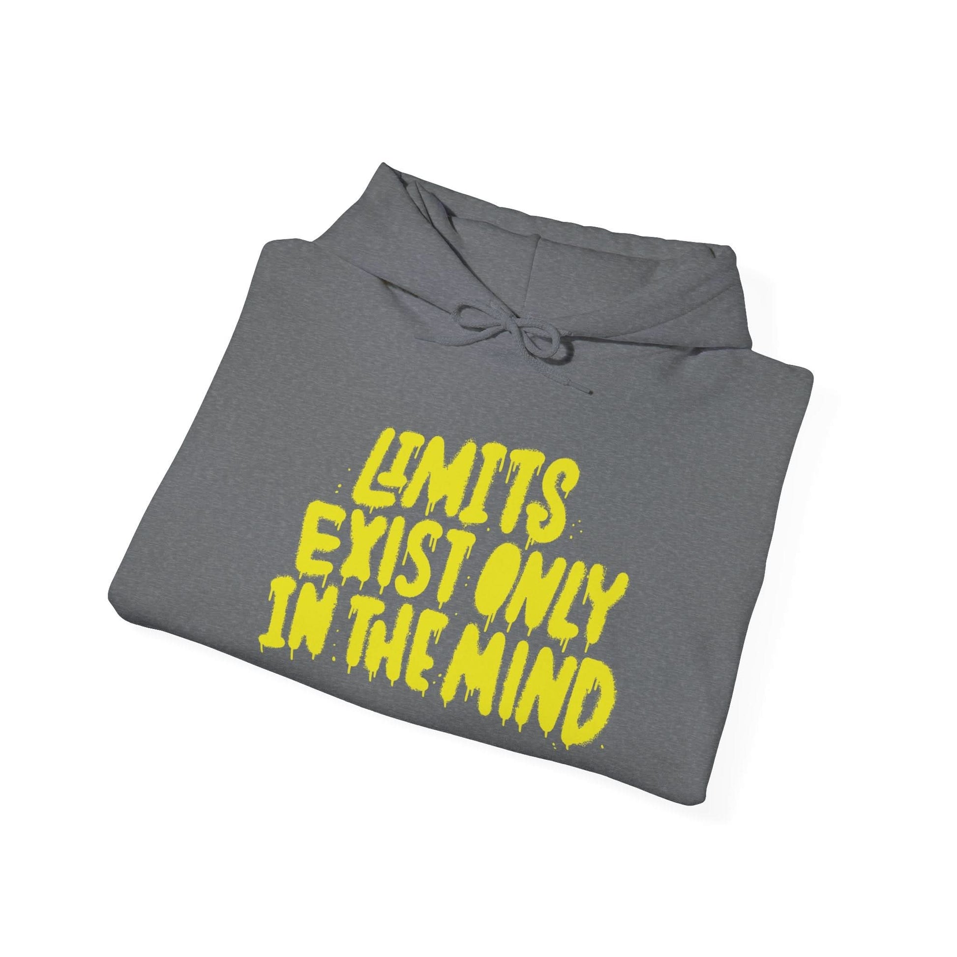 Limits Exist Only In The Mind - Mleem