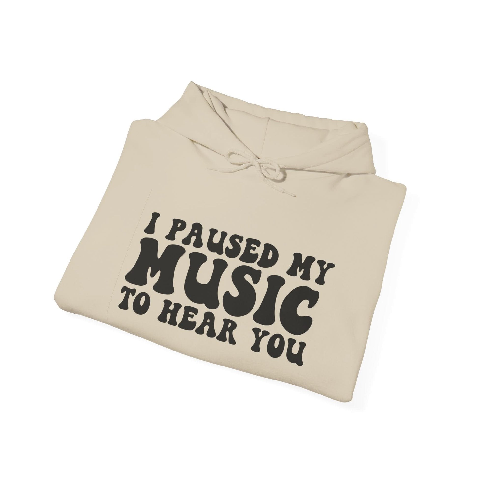 I Paused My Music To Hear You - Mleem