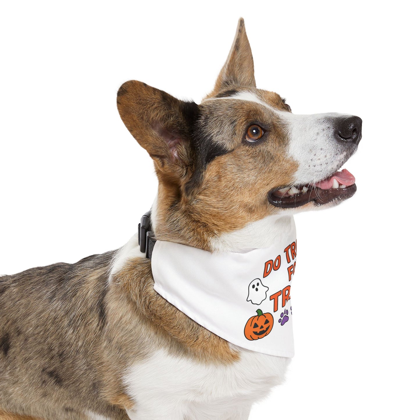 Halloween Pet Bandana, Dog Costume Accessory, Trick or Treat Bandana, Pet Halloween Apparel, Spooky Dog Outfit