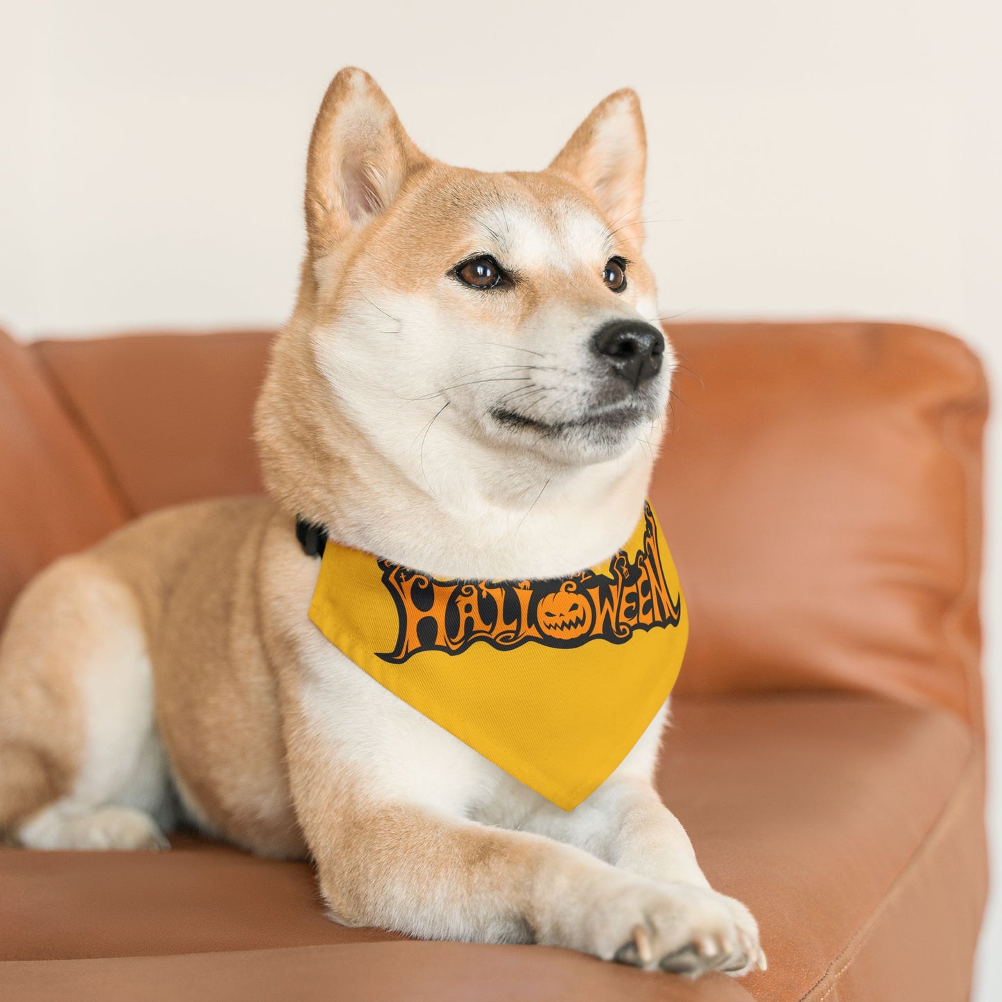 Halloween Pet Bandana Collar, Festive Dog Accessory,  Pet Costume, Trick or Treat Gear, Pumpkin Design