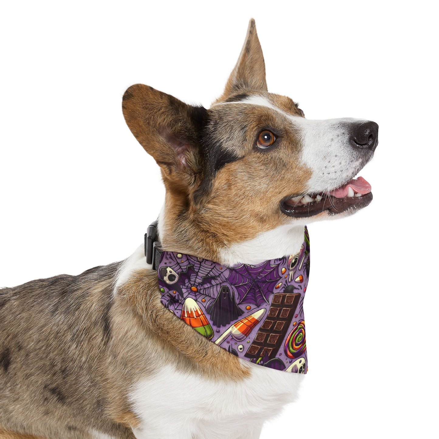 Halloween Pet Bandana Collar, Spooky Dog Accessory, Pet Costume, Fall Pet Fashion, Trick or Treat Gear