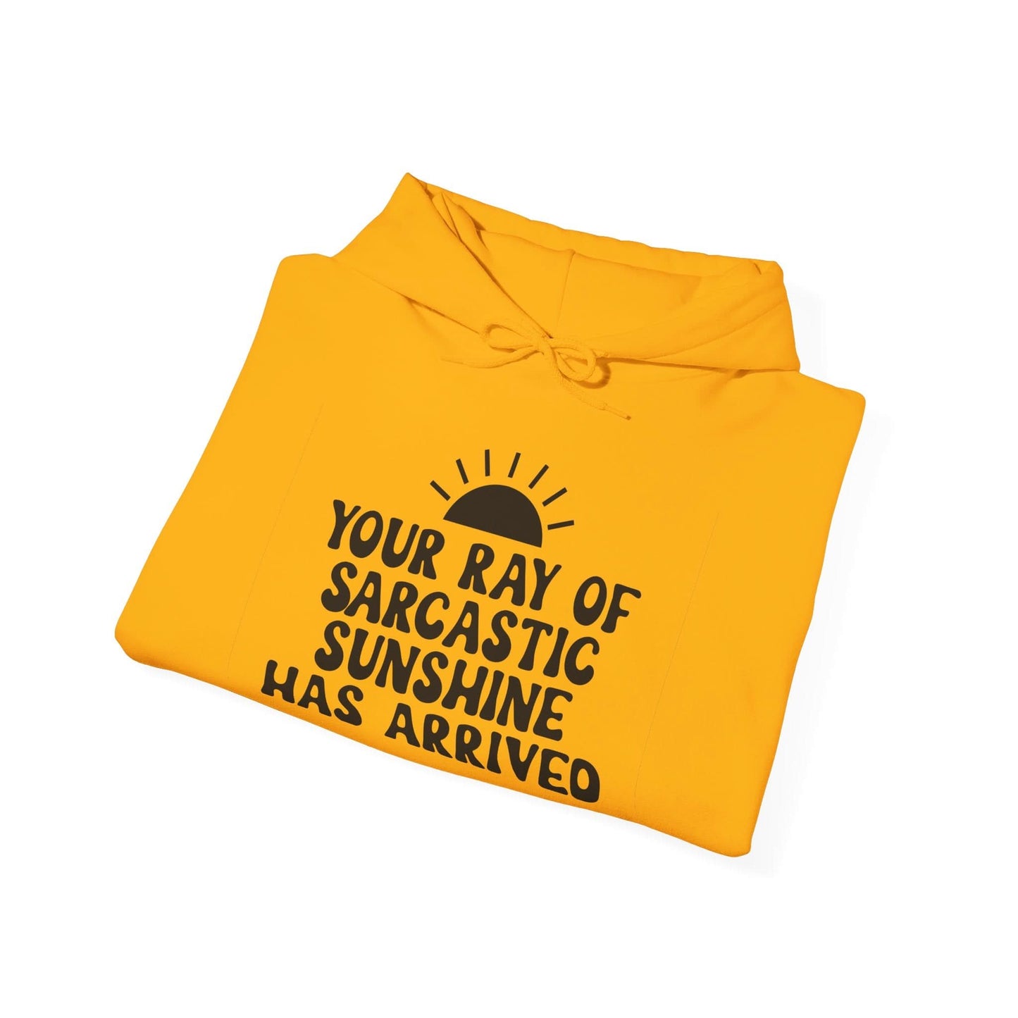 Your Ray Of Sarcastic Sunshine Has Arrived - Mleem