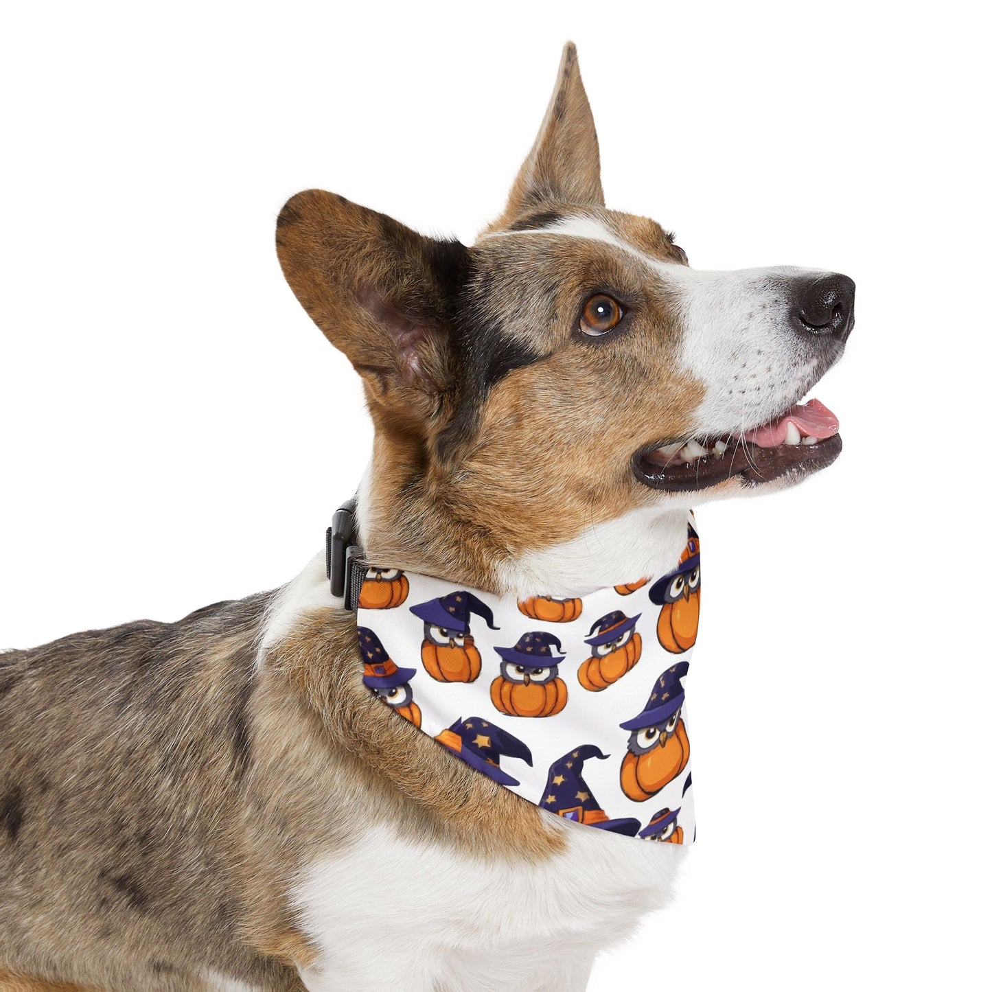 Adorable Halloween Pet Bandana Collar | Cute Pumpkin & Owl Print, Dog Accessory, Pet Costume, Holiday Gear, Gifts for Pet Lovers