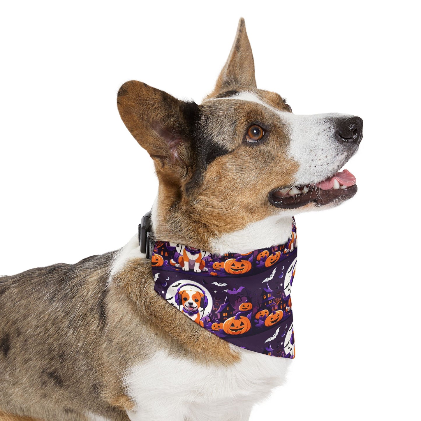 Pet Bandana Collar