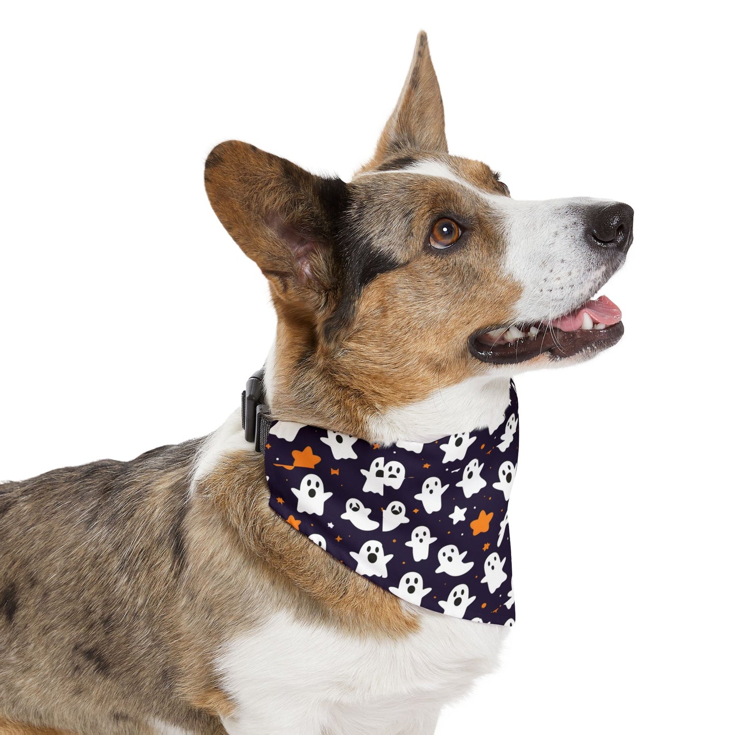 Pet Bandana Collar
