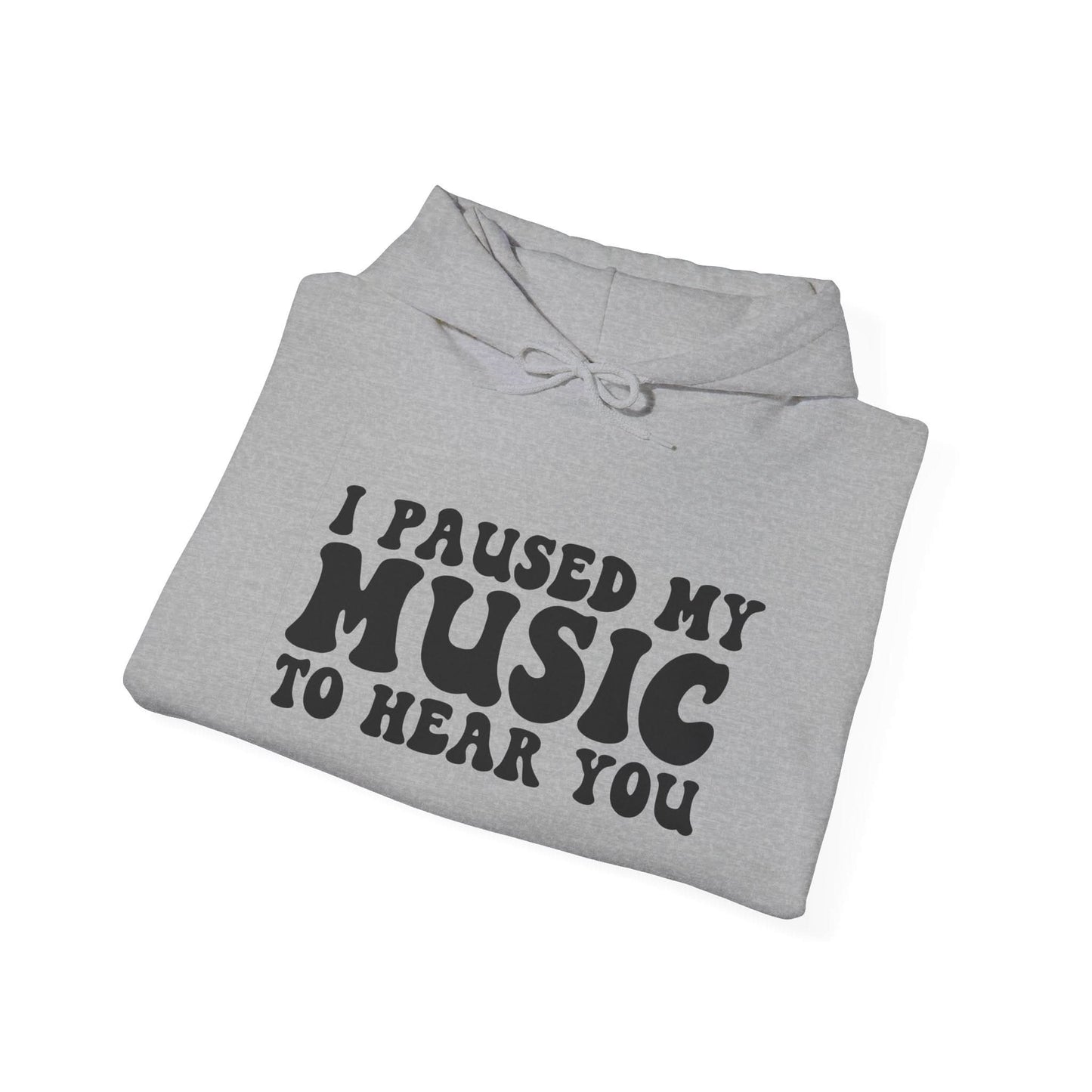 I Paused My Music To Hear You - Mleem