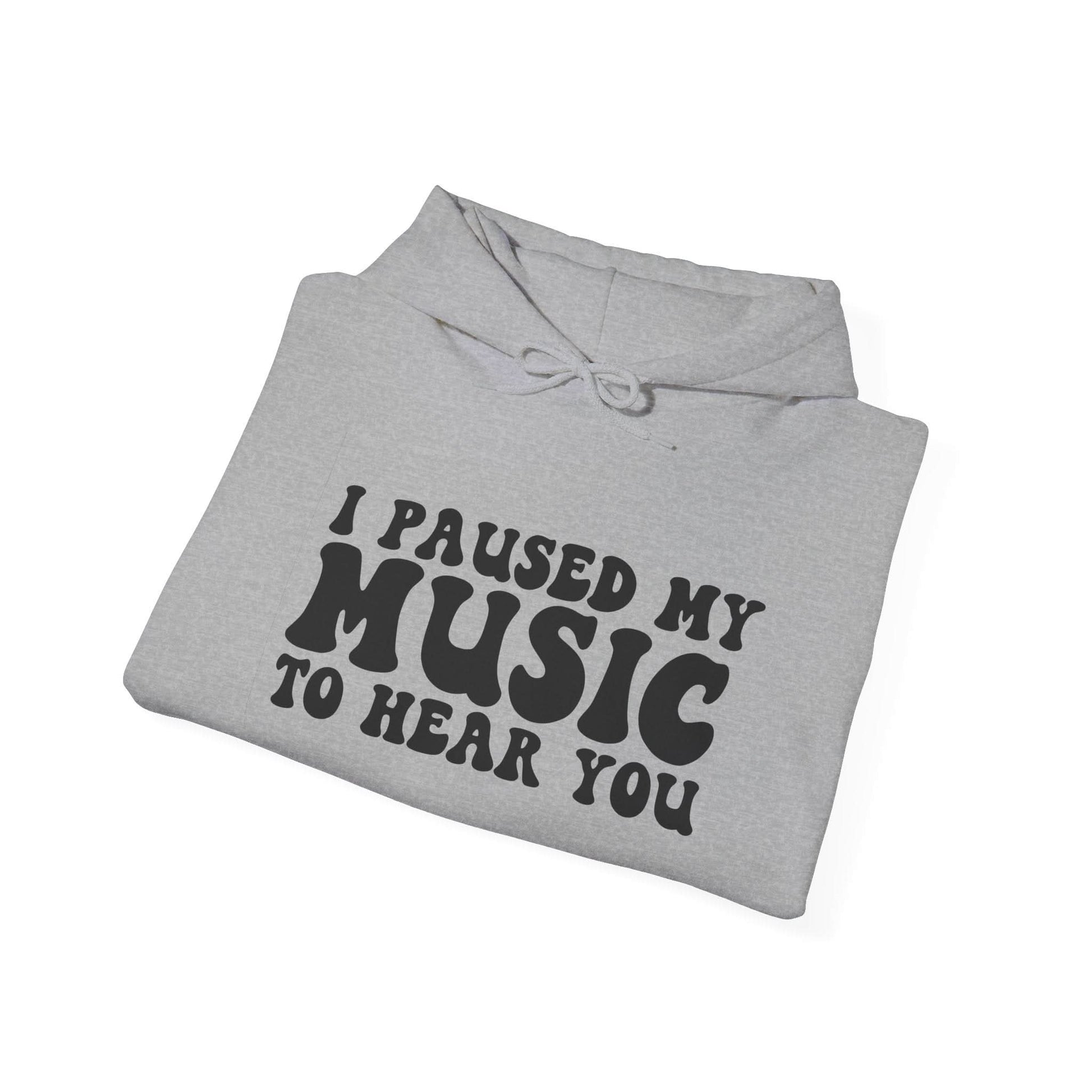 I Paused My Music To Hear You - Mleem