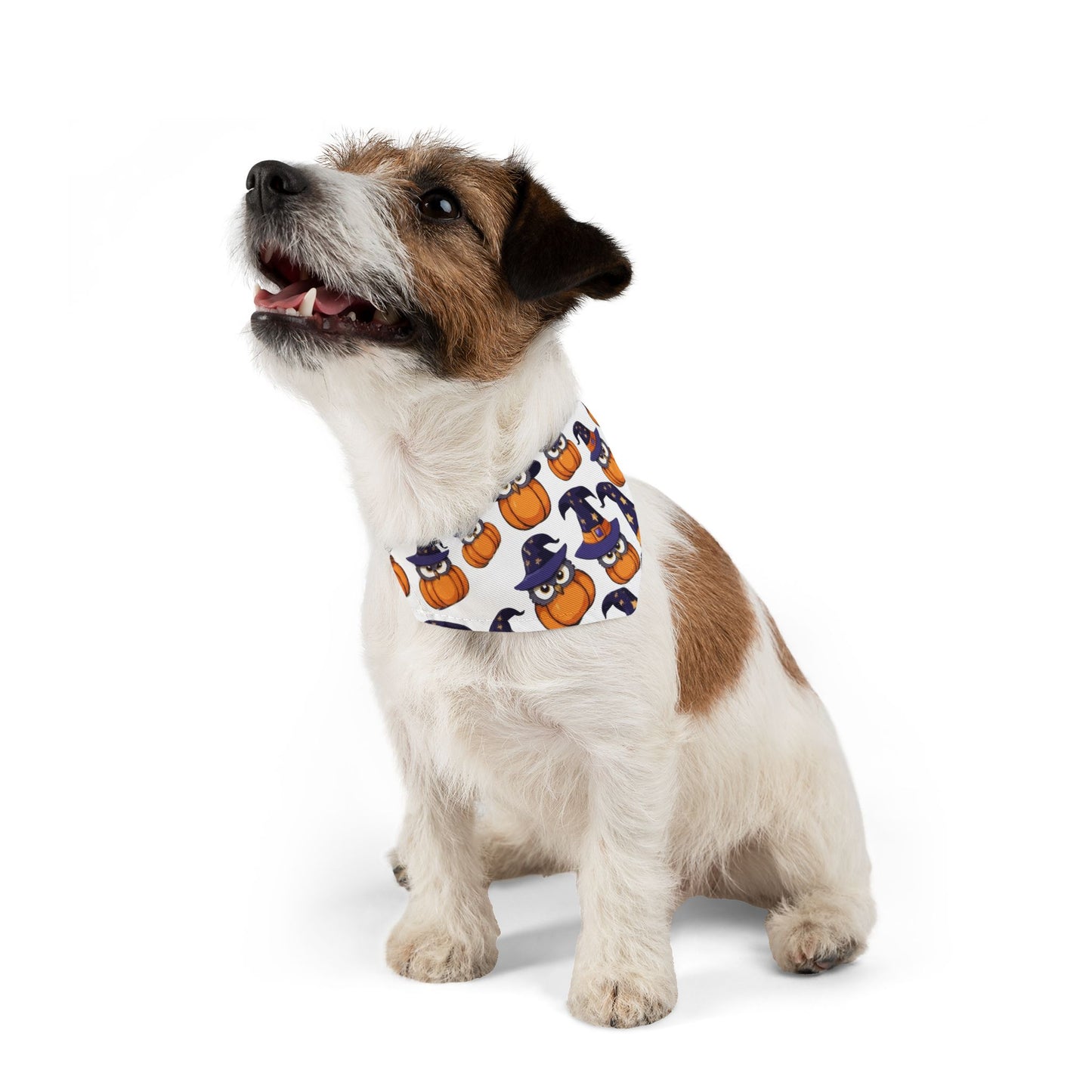 Adorable Halloween Pet Bandana Collar | Cute Pumpkin & Owl Print, Dog Accessory, Pet Costume, Holiday Gear, Gifts for Pet Lovers