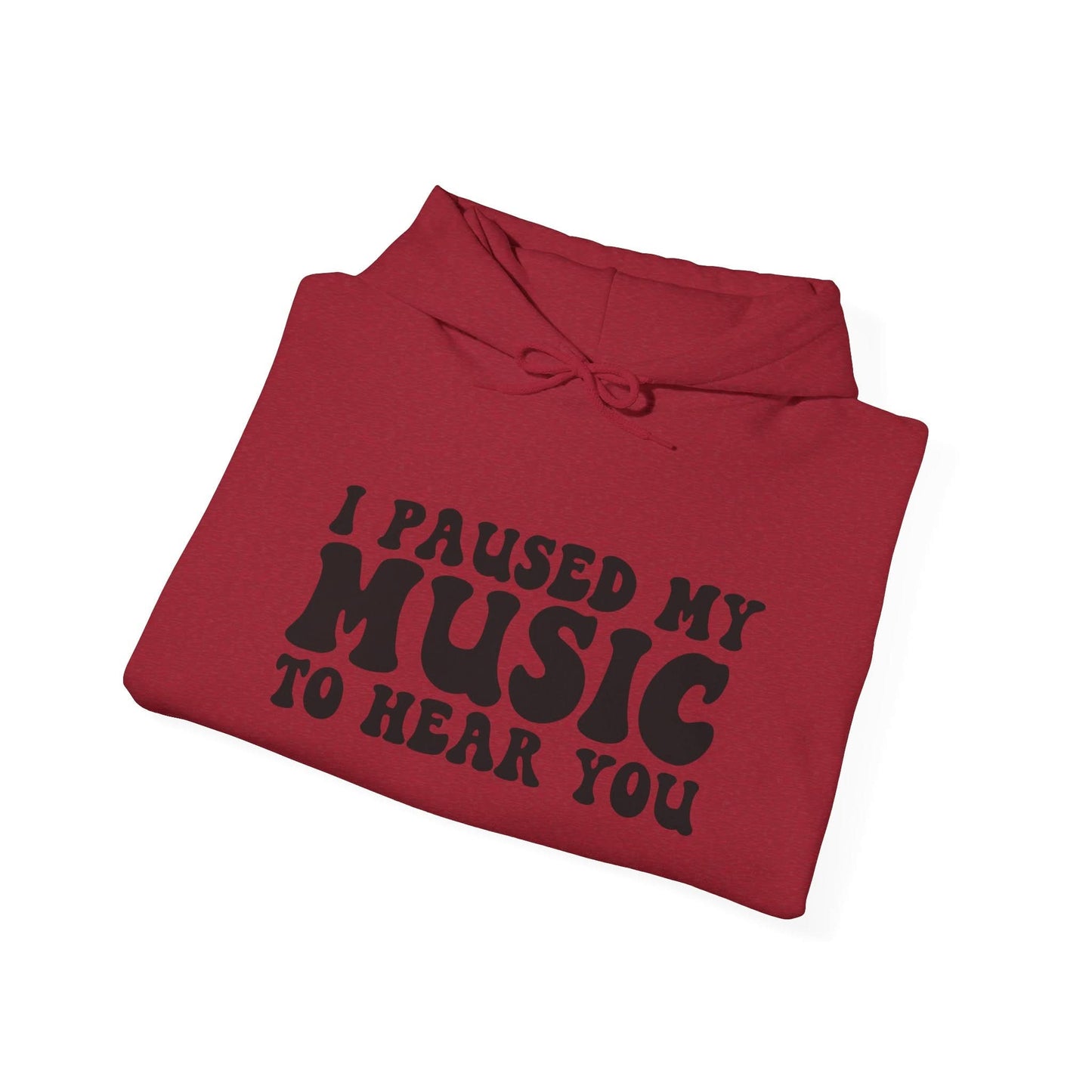 I Paused My Music To Hear You - Mleem
