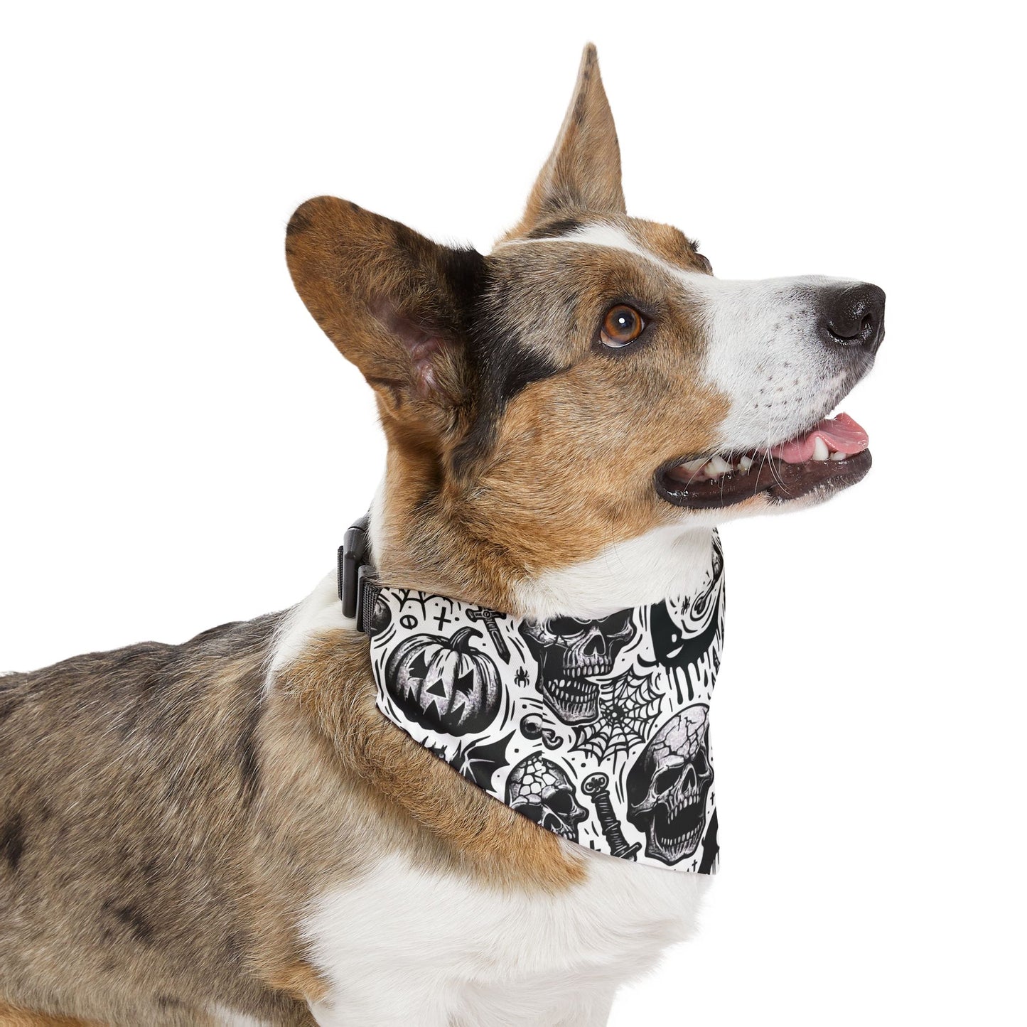 Pet Bandana Collar with Halloween Skull Design, Dog Accessory, Pet Costume, Spooky Outfit, Gift for Dog Lovers, Halloween Decor