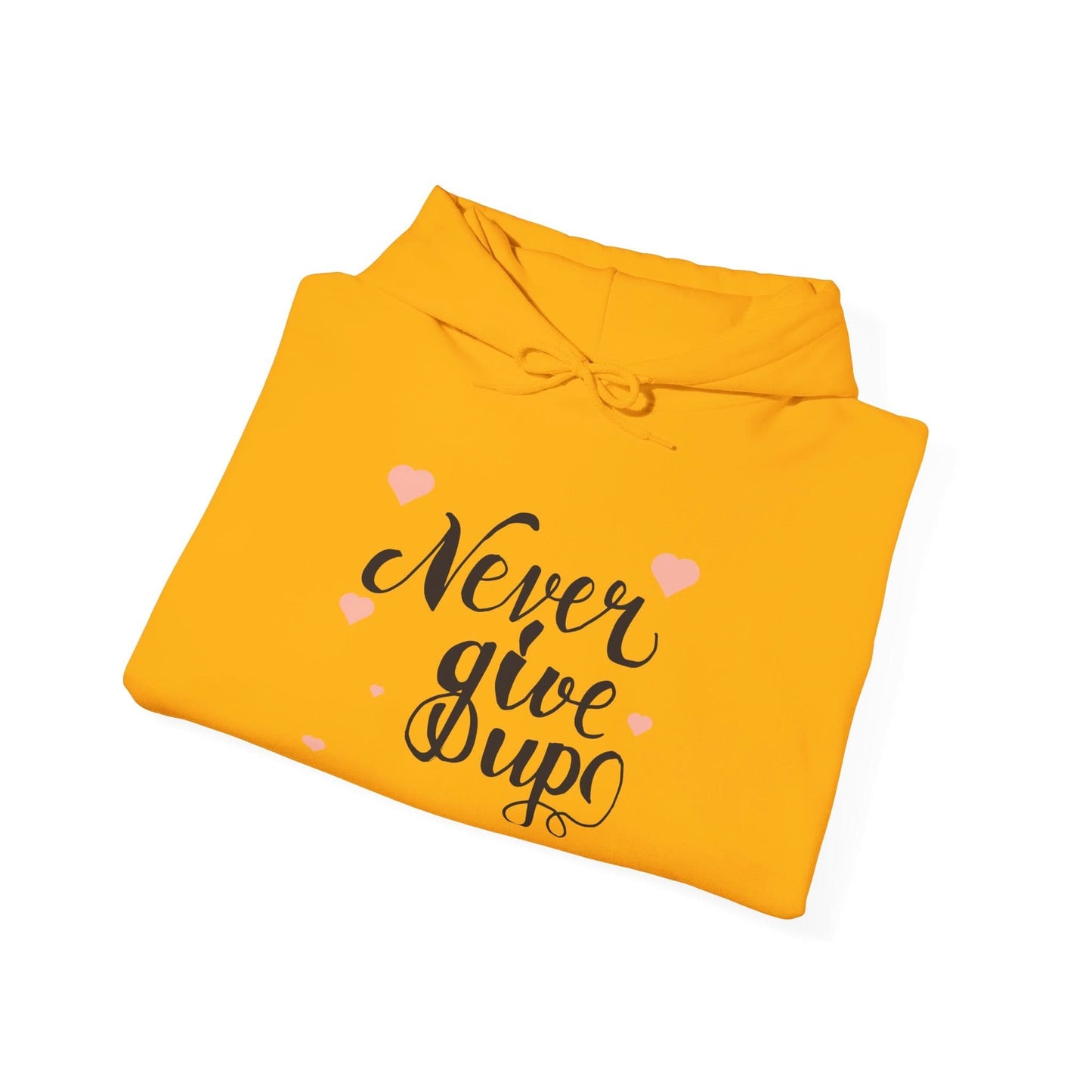 Never Give Up - Mleem