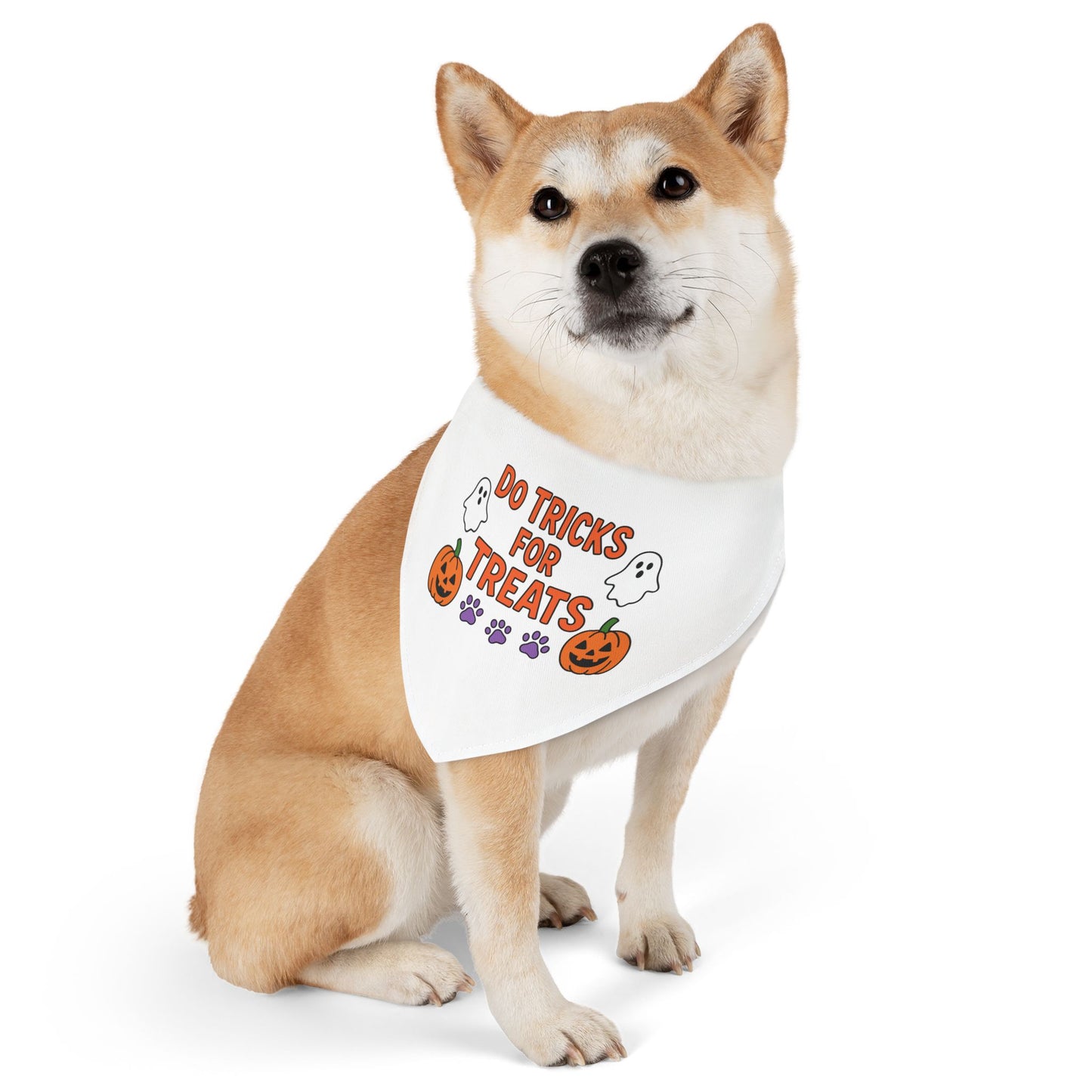 Halloween Pet Bandana, Dog Costume Accessory, Trick or Treat Bandana, Pet Halloween Apparel, Spooky Dog Outfit