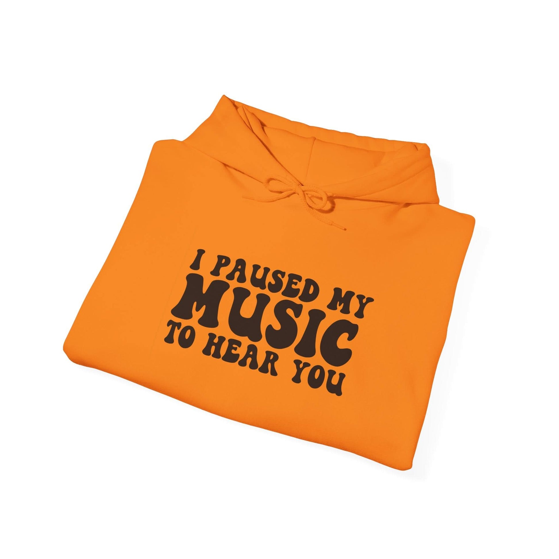I Paused My Music To Hear You - Mleem