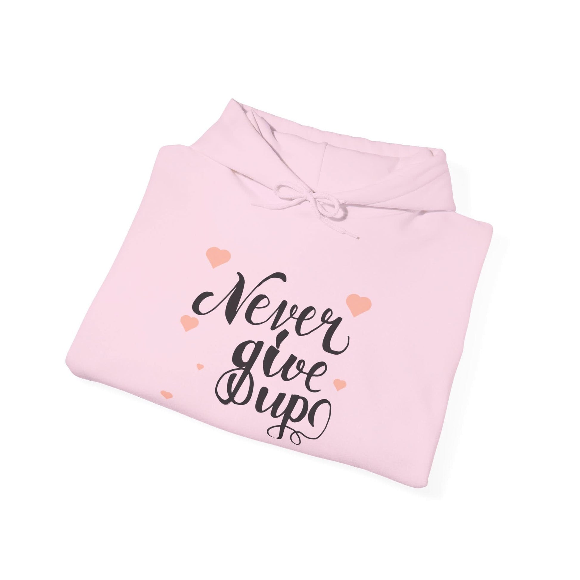 Never Give Up - Mleem