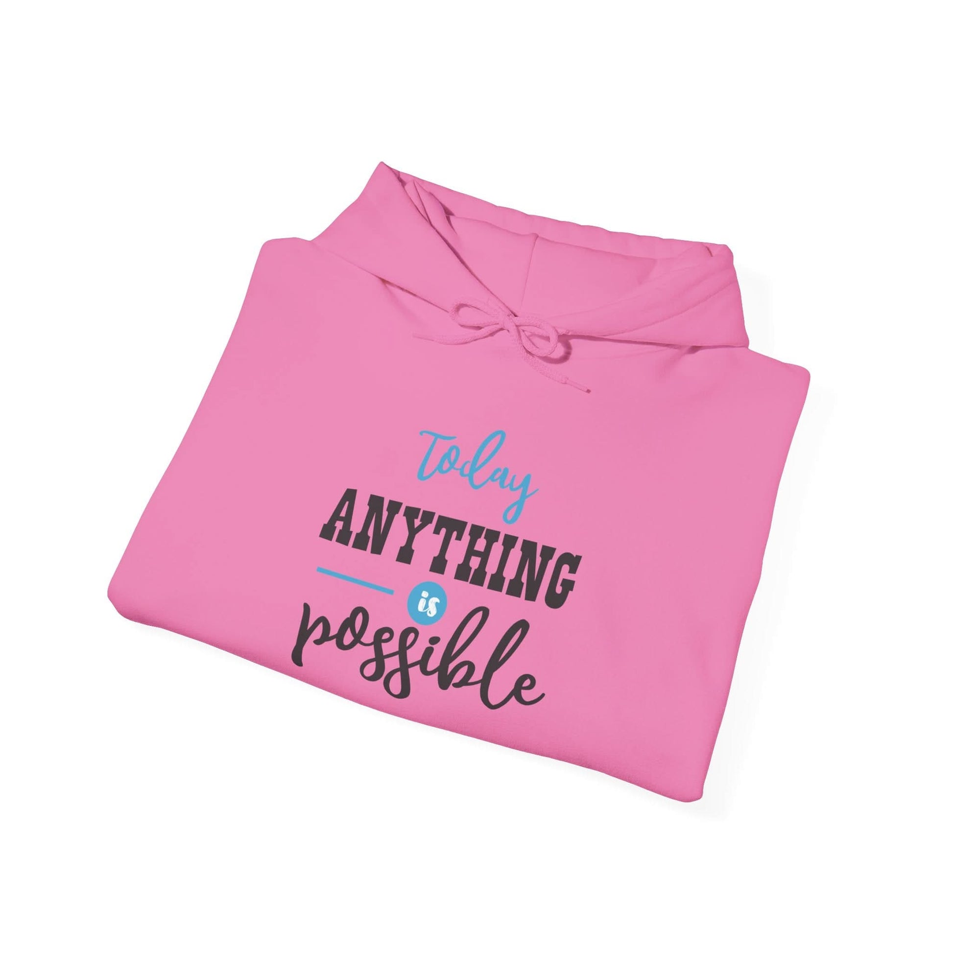Today Anything is Possible - Mleem