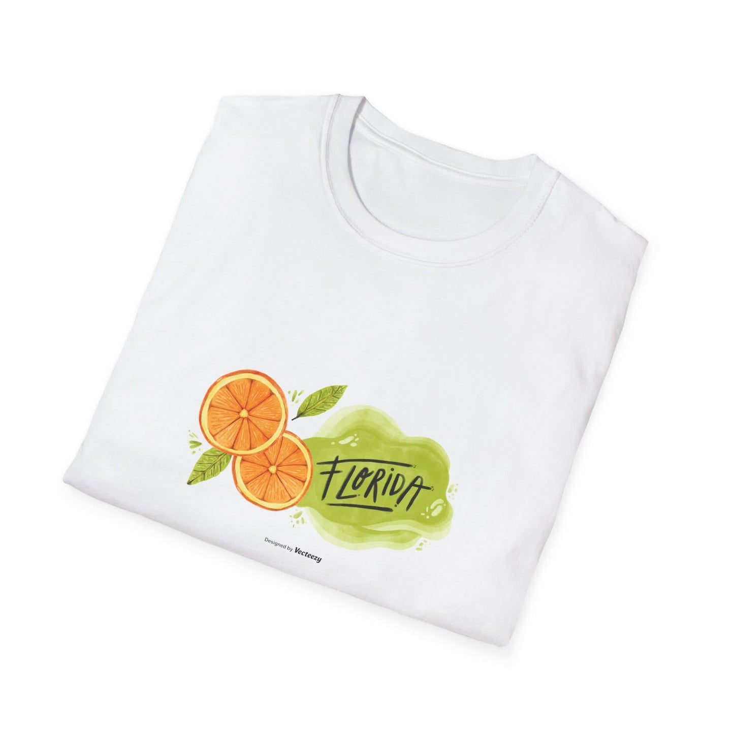 Florida Orange County Watercolor - Mleem