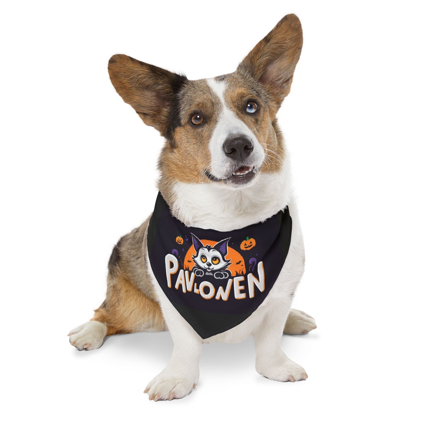 Pet Bandana Collar