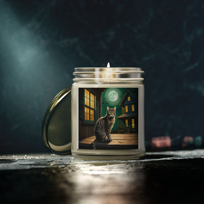 Scented Candles, Coconut Apricot Wax (4oz, 9oz)