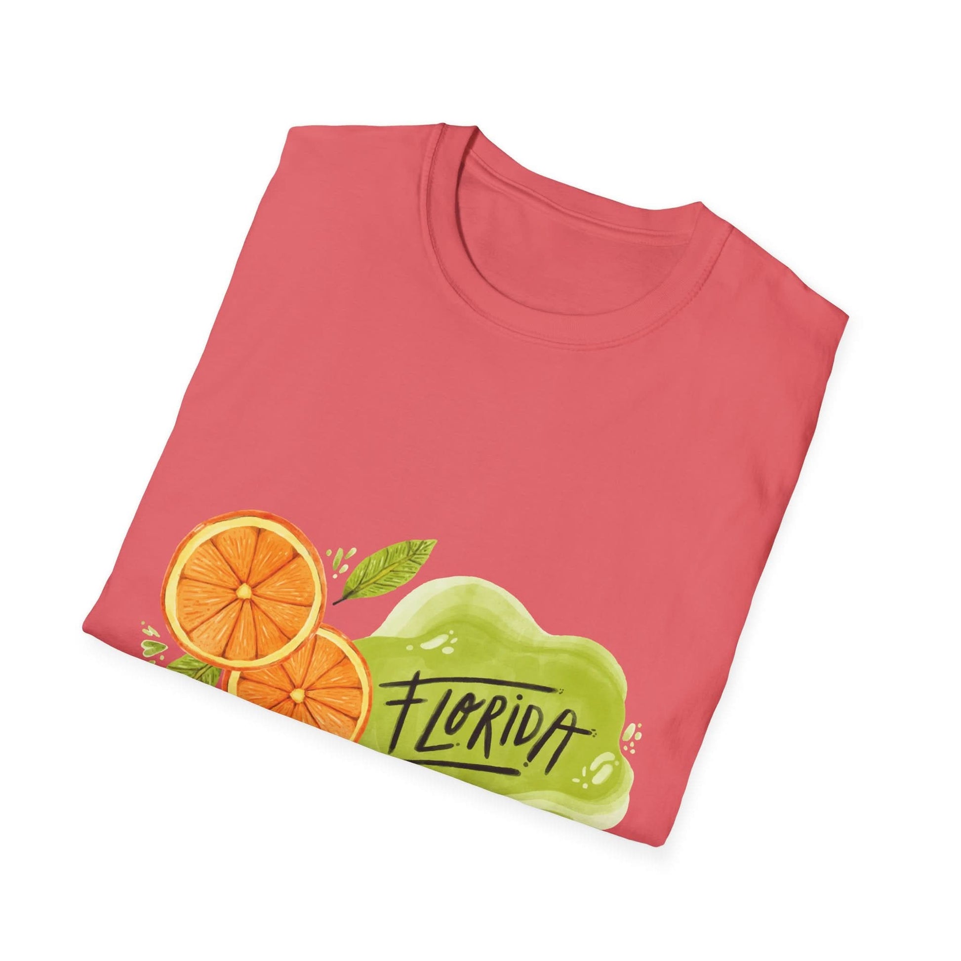 Florida Orange County Watercolor - Mleem