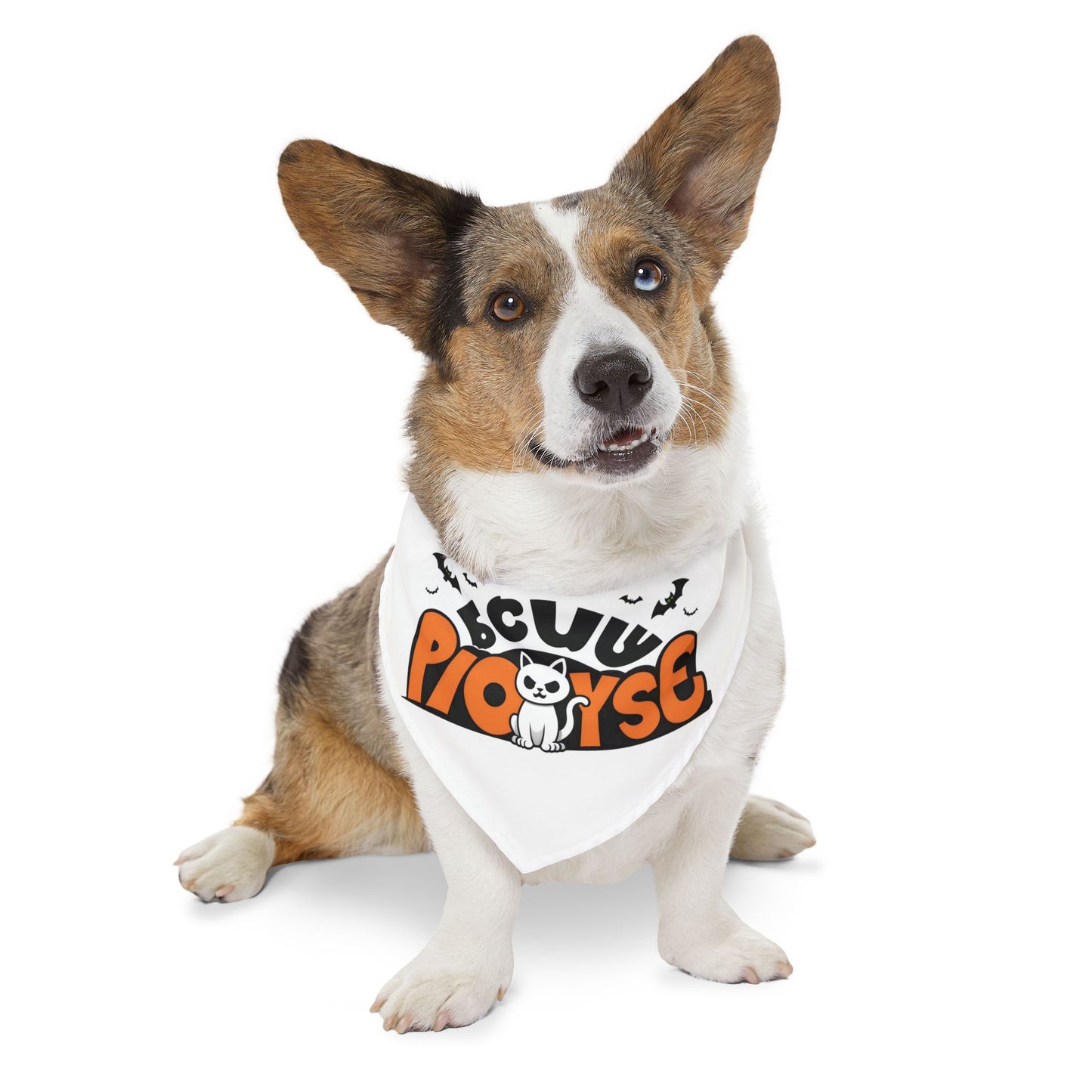 Pet Bandana