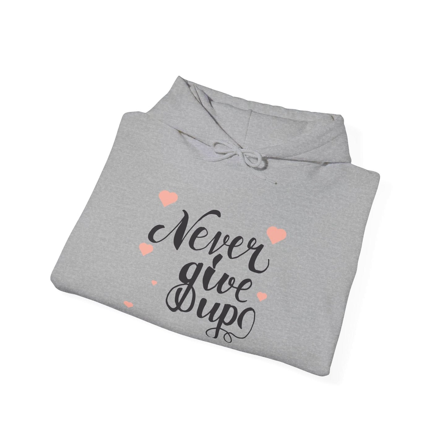 Never Give Up - Mleem
