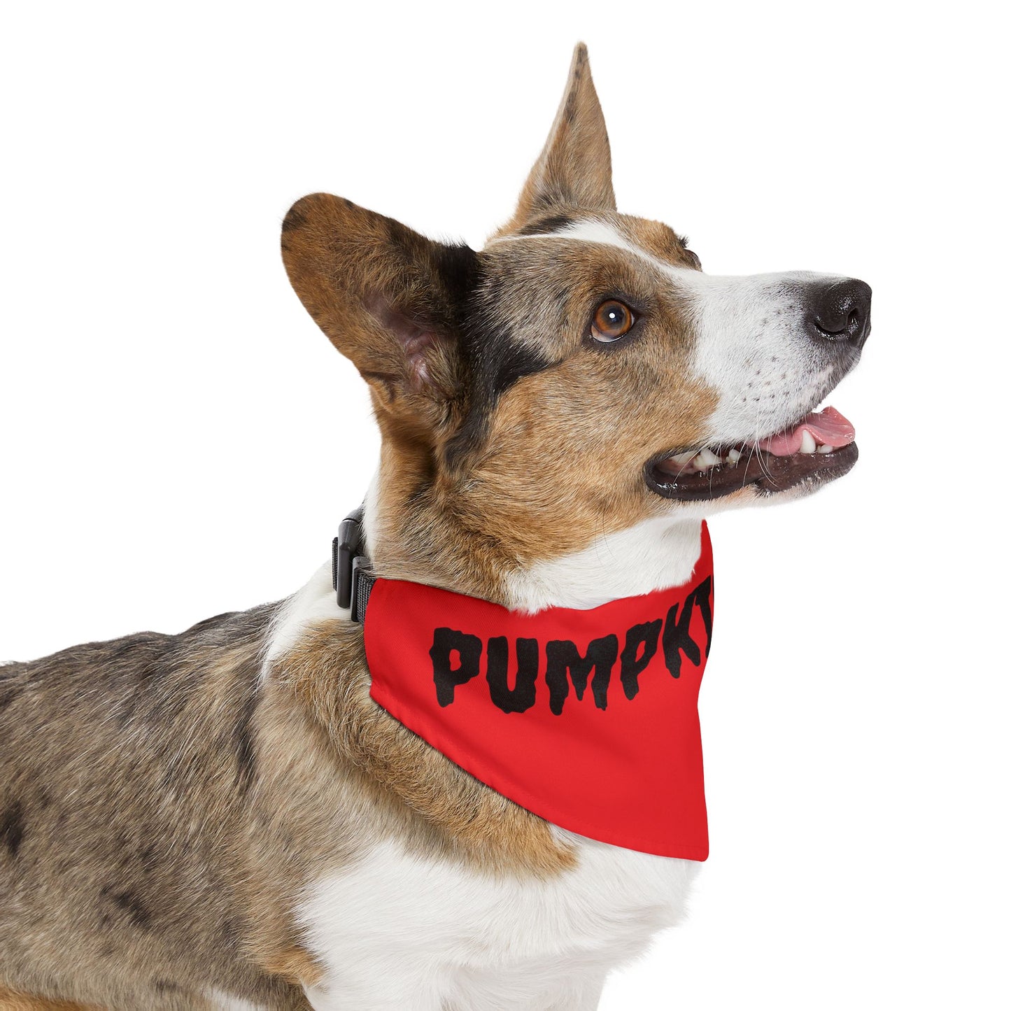 Pet Bandana