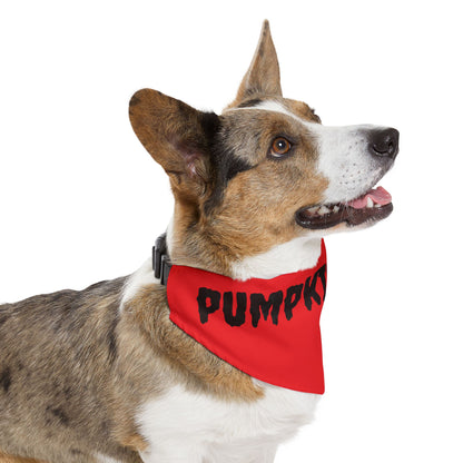 Pet Bandana