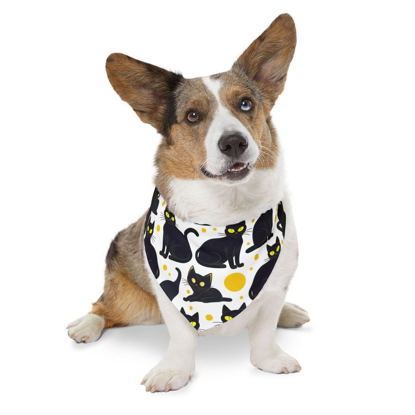 Pet Bandana Collar