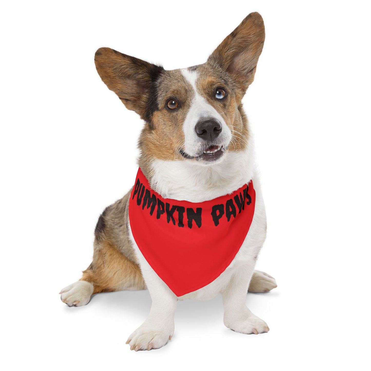 Pet Bandana