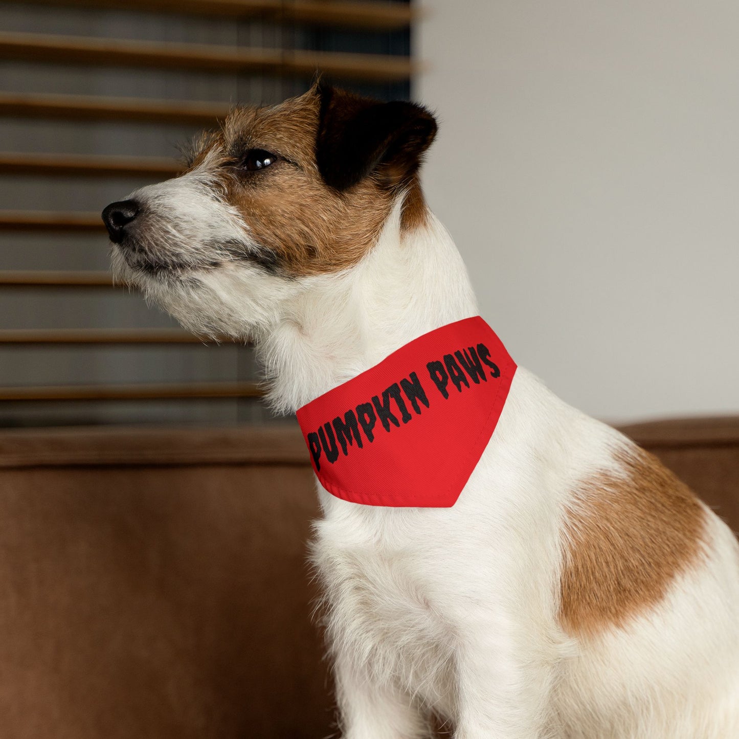 Pet Bandana