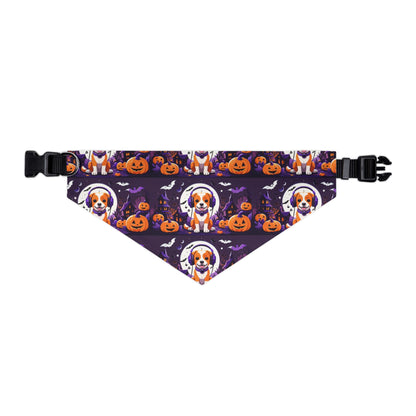 Pet Bandana Collar