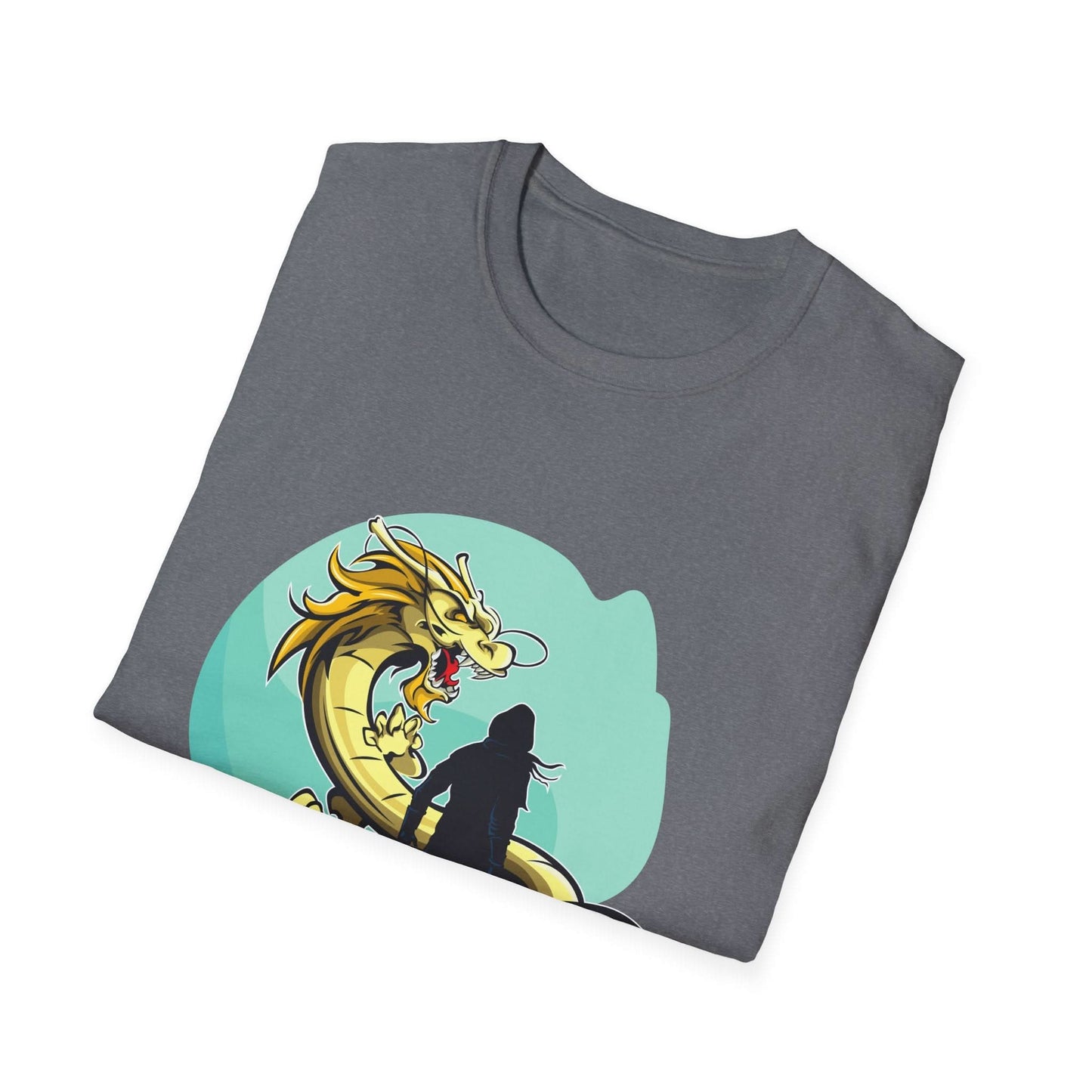 Swordsman Challenging The Dragon - Mleem