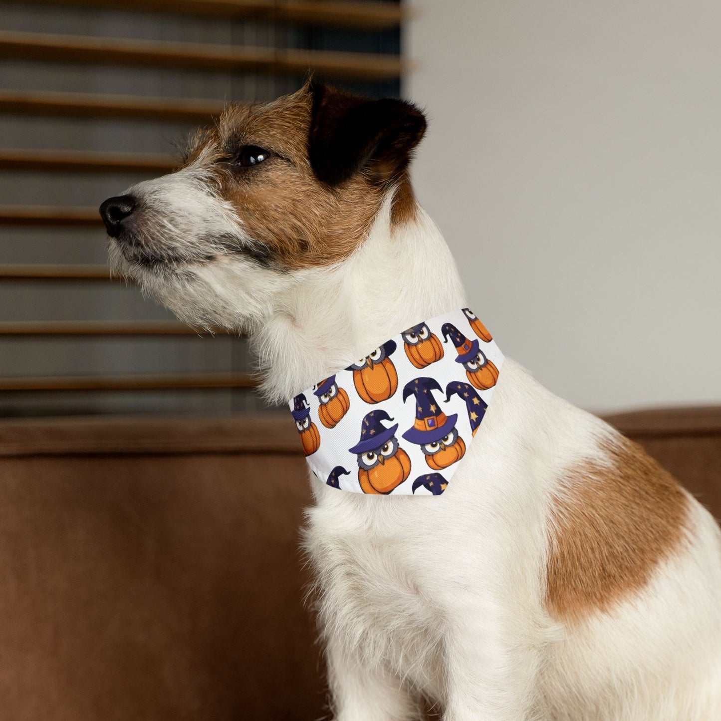 Adorable Halloween Pet Bandana Collar | Cute Pumpkin & Owl Print, Dog Accessory, Pet Costume, Holiday Gear, Gifts for Pet Lovers